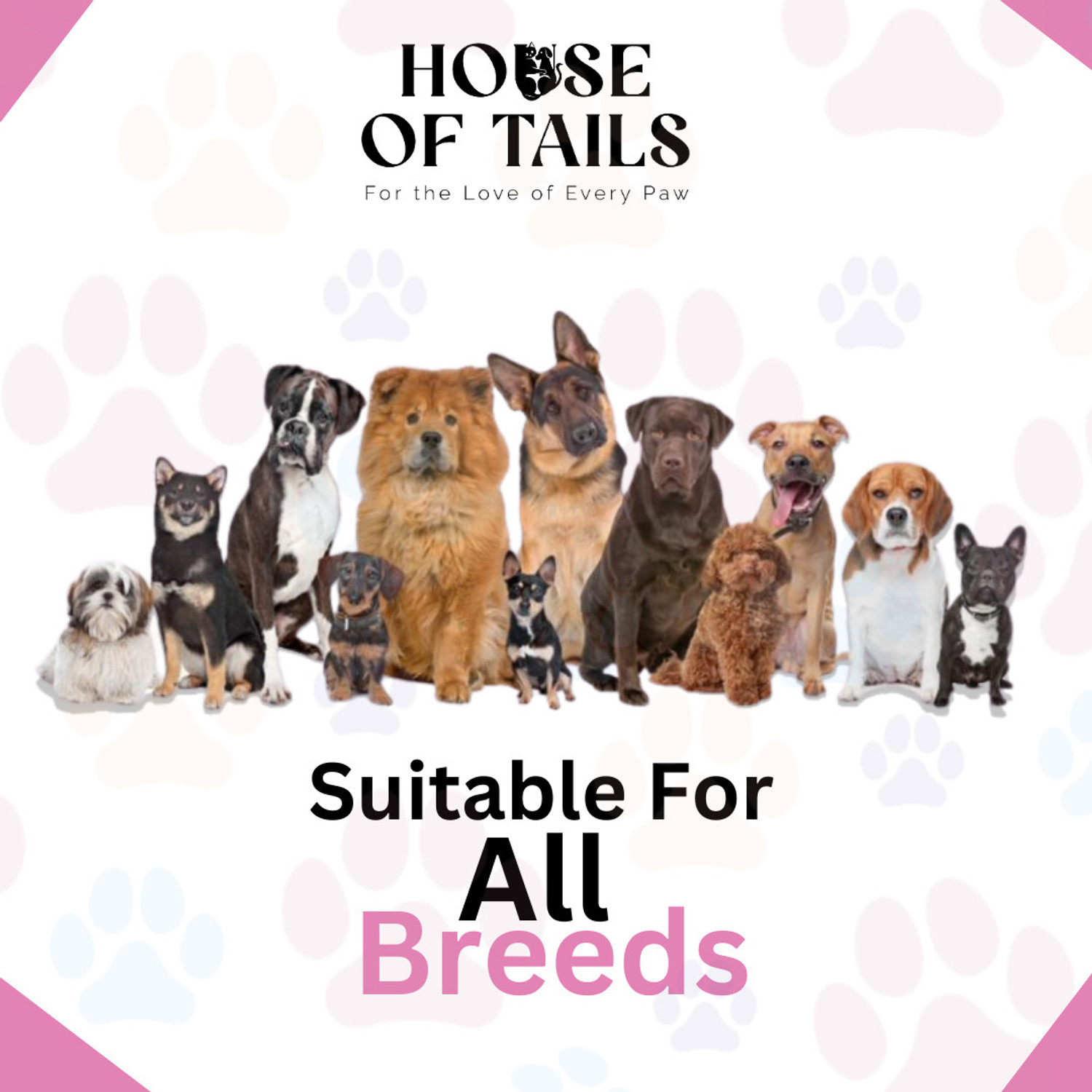Image of House Of Tails Conditioning Shampoo & Pet Perfume Combo for Soft Fur and Fresh Fragrance Conditioning Lavendar Dog, Cat Shampoo