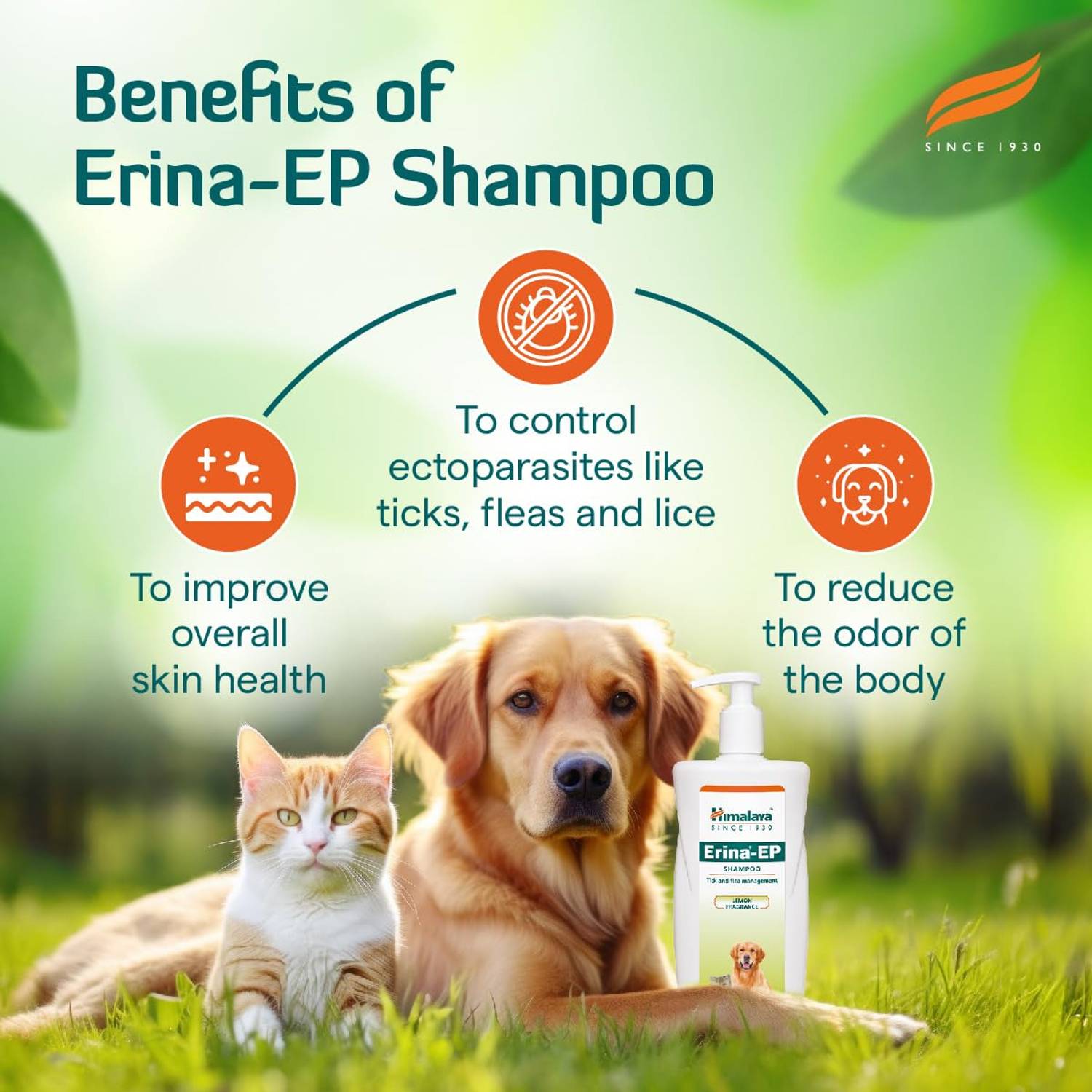 Erina-EP Tick and Flea Control Lemon Dog Shampoo - Image 5
