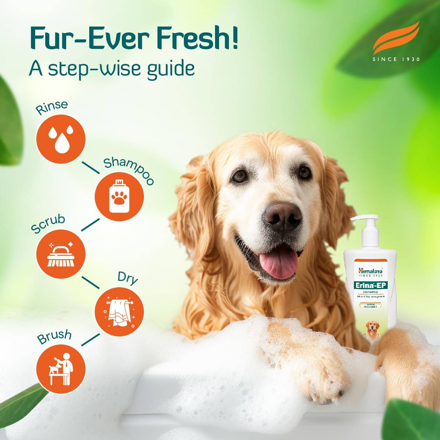 Erina-EP Tick and Flea Control Lemon Dog Shampoo - Image 4