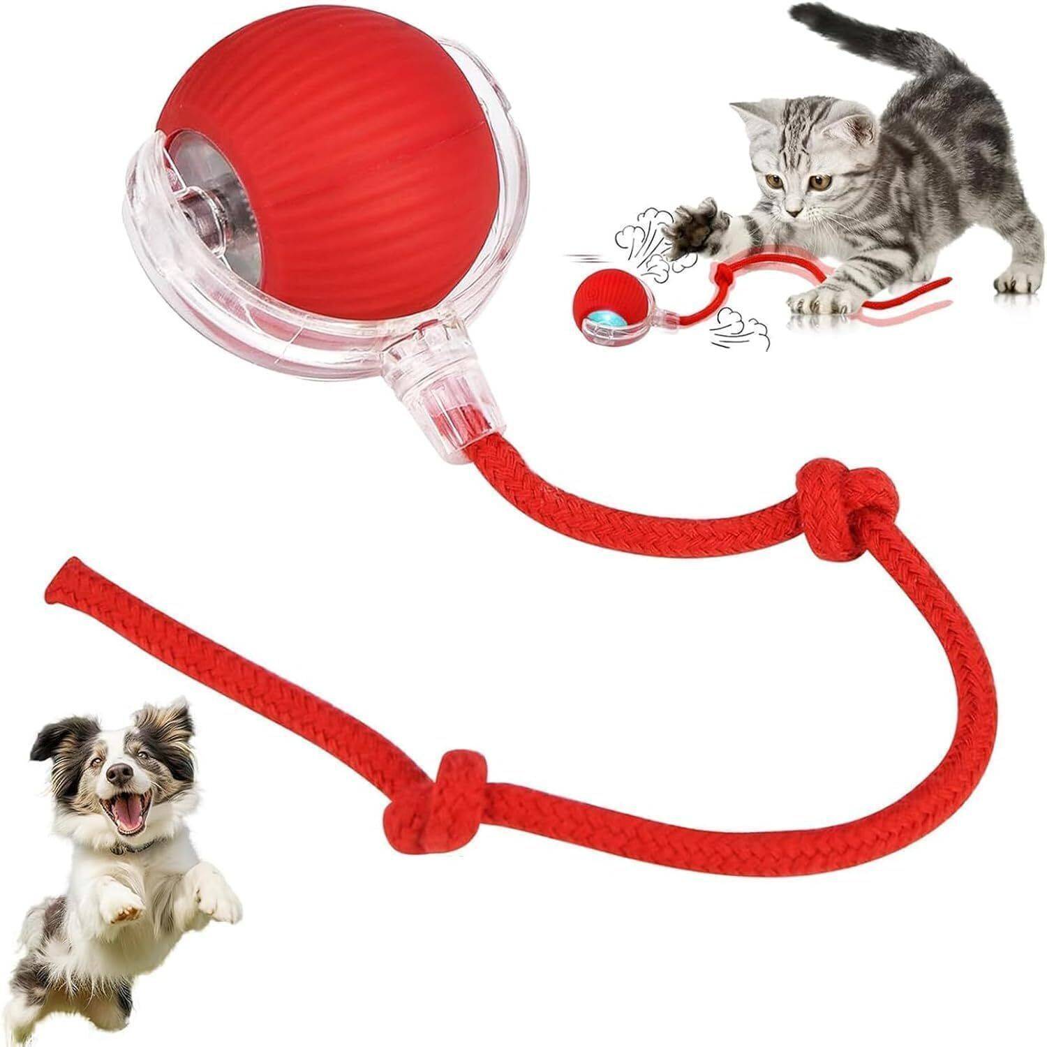 HICOBER 360° Smart Automatic Ball - Image 1