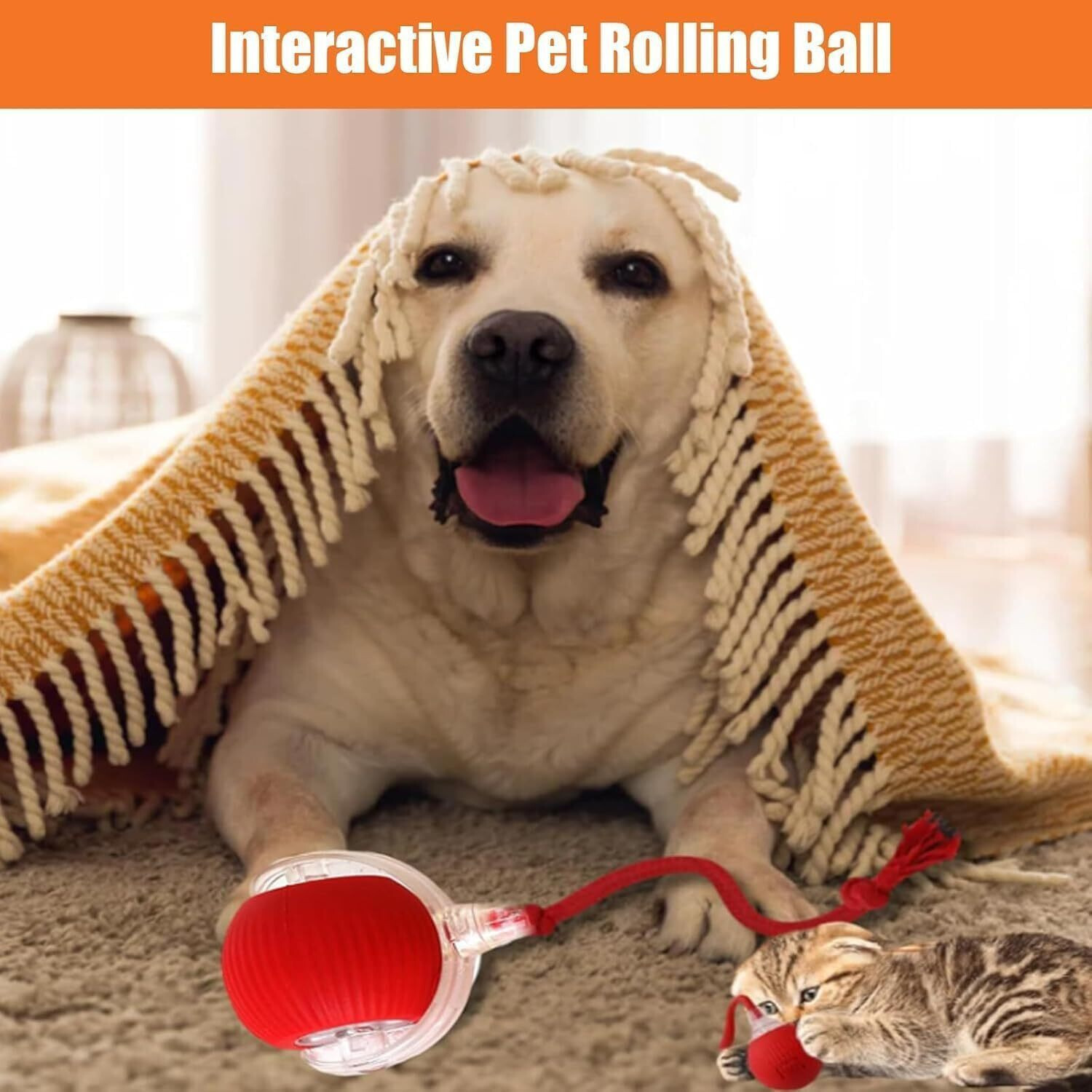 Image of decorvaiz 360 Smart Automatic Ball Cat Toys Ball for Indoor Cats Fast Rolling on Carpet Silicone, Plastic Chew Toy For Dog & Cat