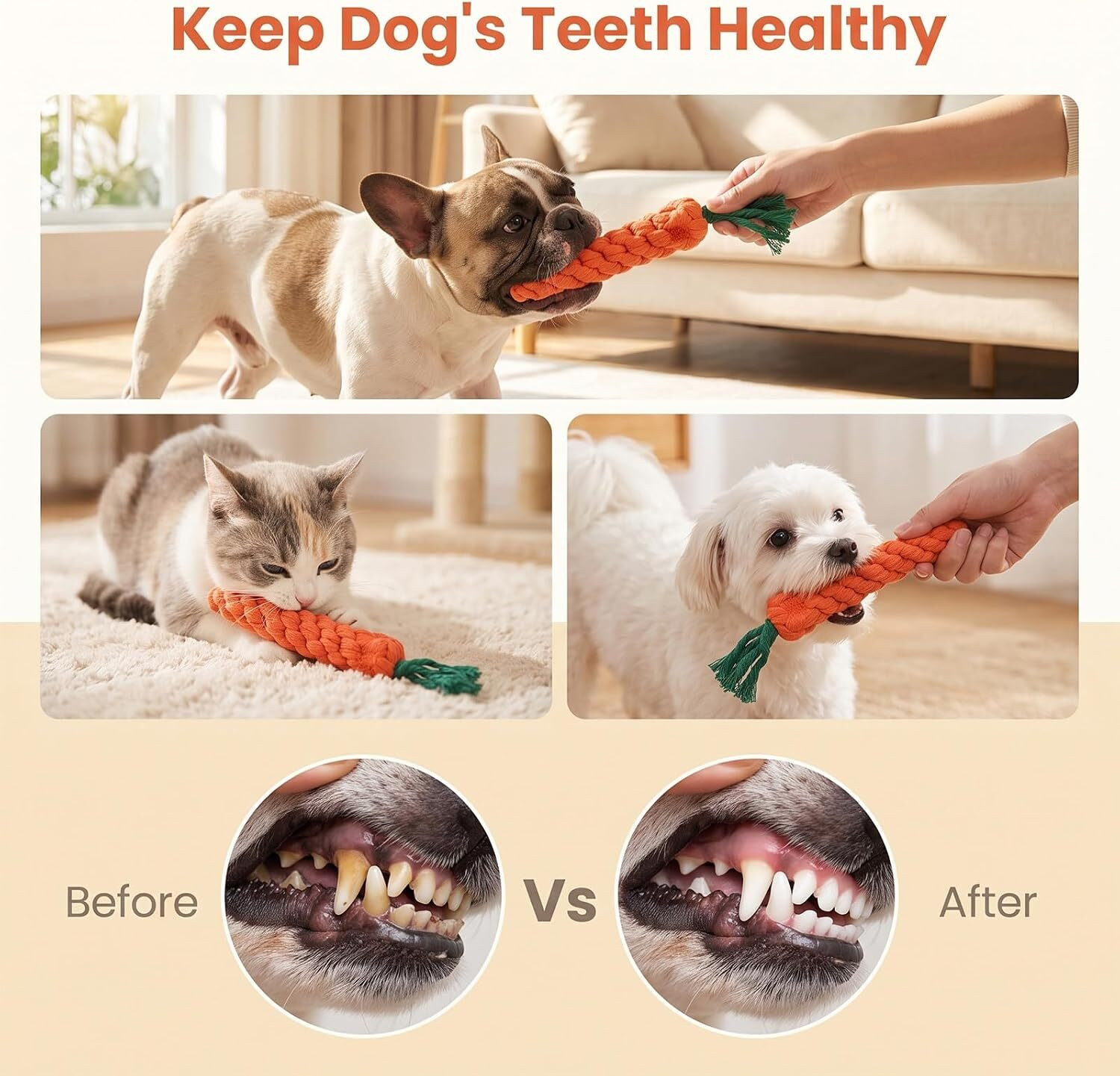 Image of PETZLUV Durable Dog Toys & Chew Toys for Dogs - Interactive Pet Accessories & Rope Cotton Chew Toy, Fetch Toy, Training Aid, Tug Toy For Dog