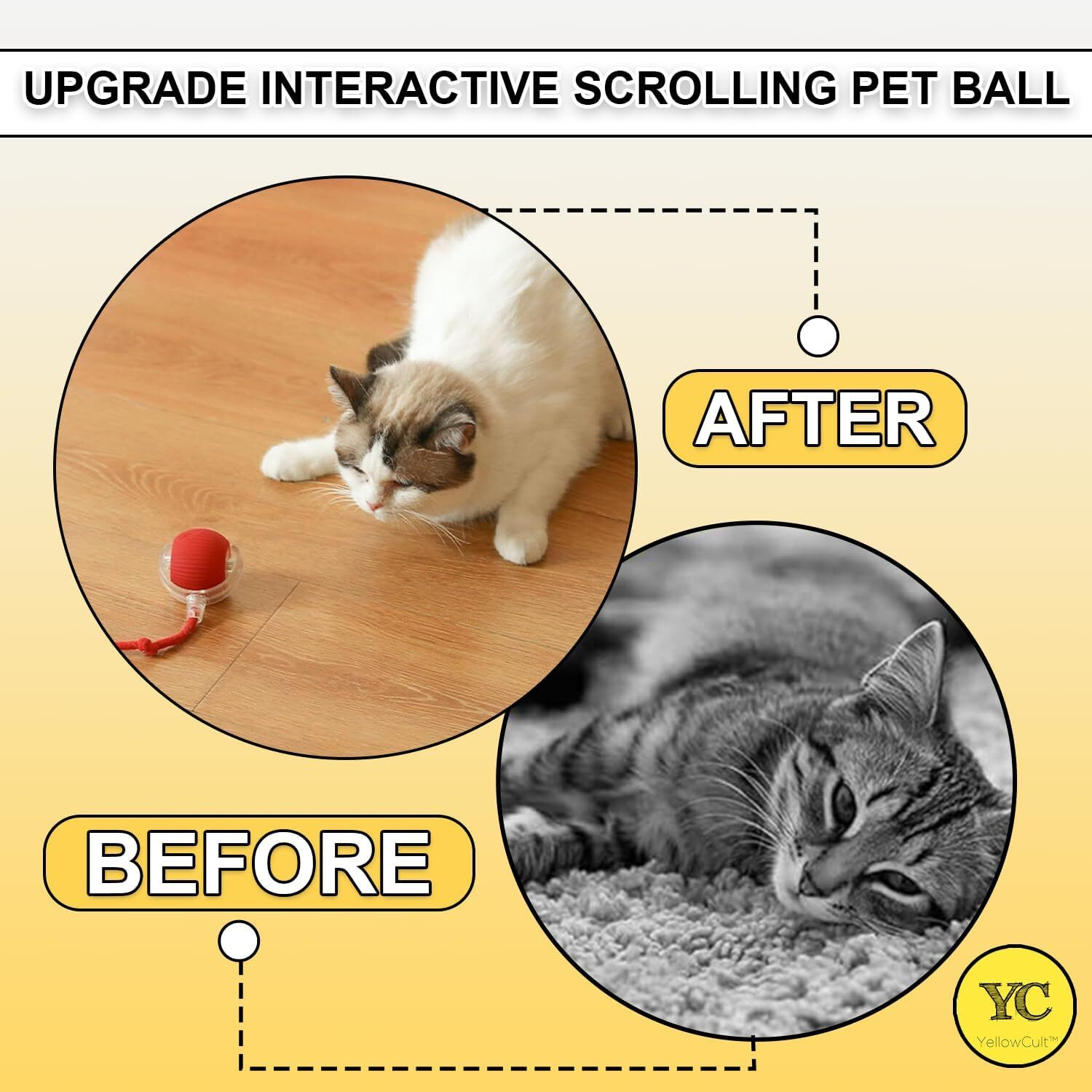 Image of Acort Rubber Plush Toy For Cat