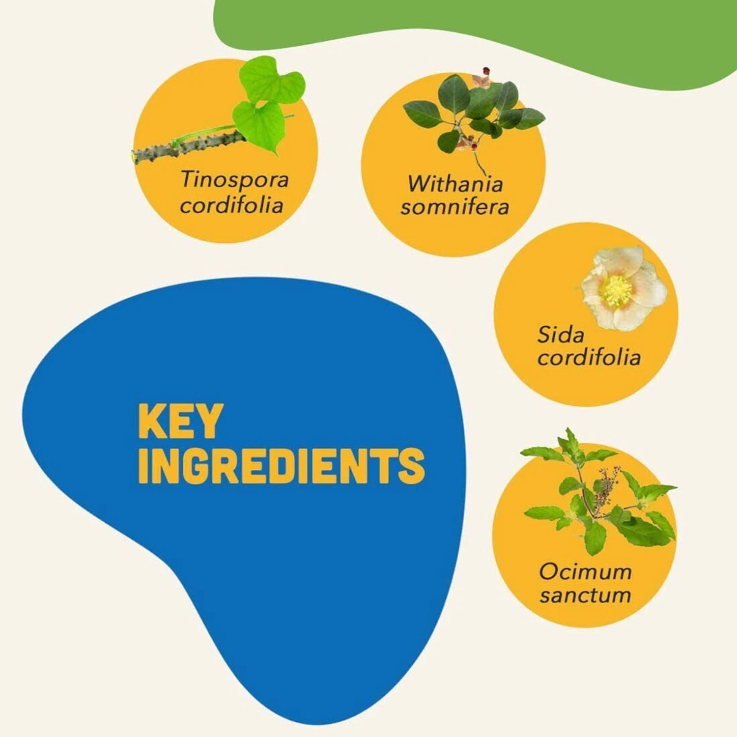 Image of Natural Remedies Junior Bites, Puppy Growth Treats, Milk Flavour for Pups of All Breeds Milk Dog Treat