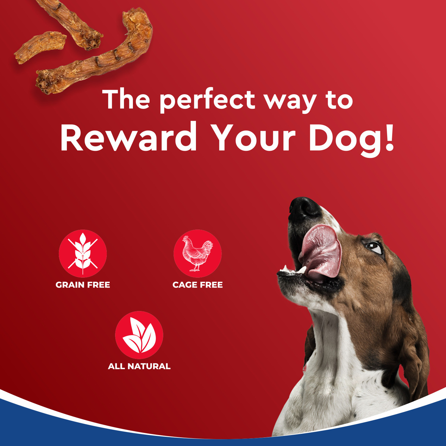 Image of Drools Dehydrated Real Chews Necks, Chicken Dog Treat