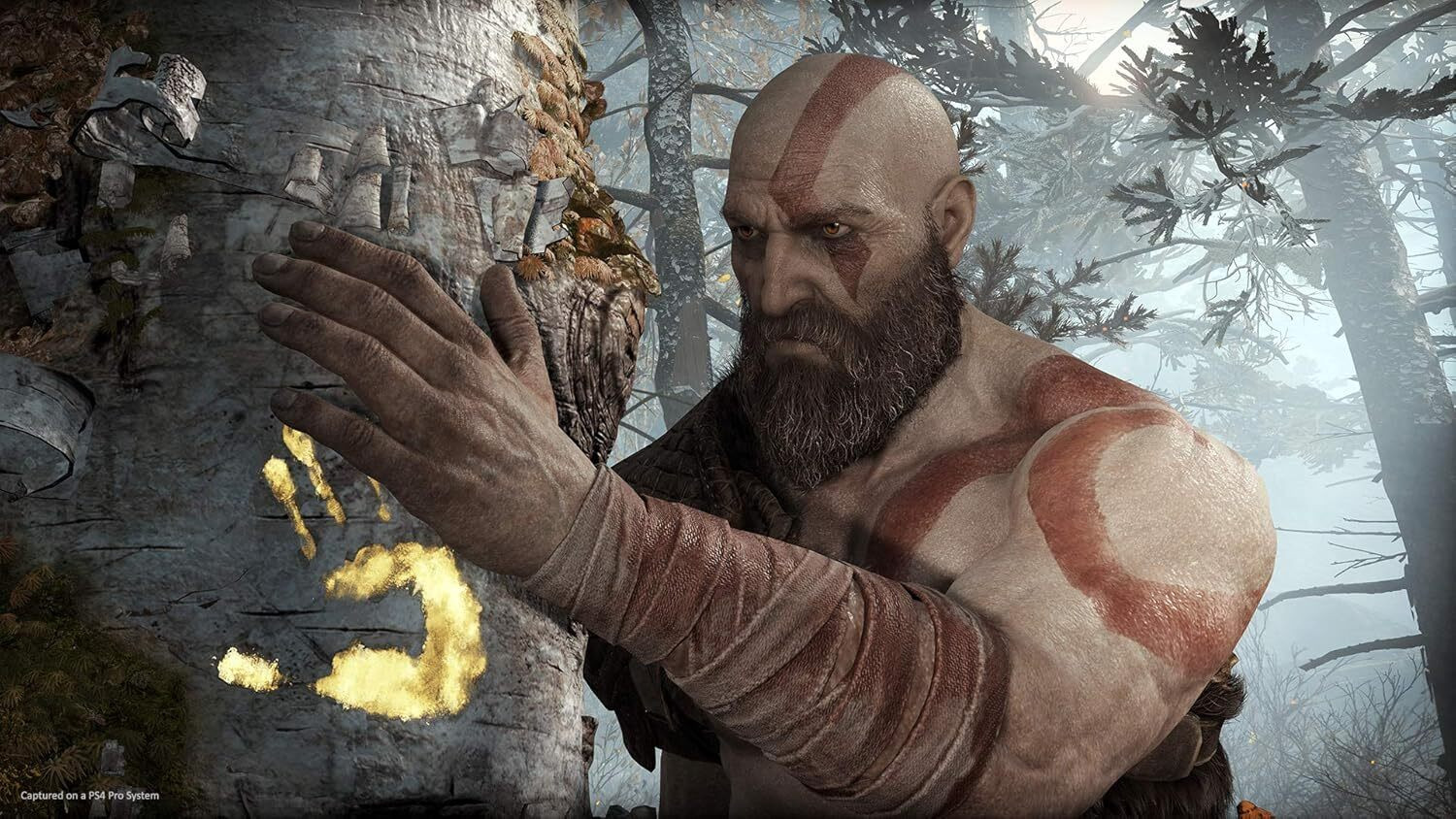 Image of SONY God Of War Hits (Physical)