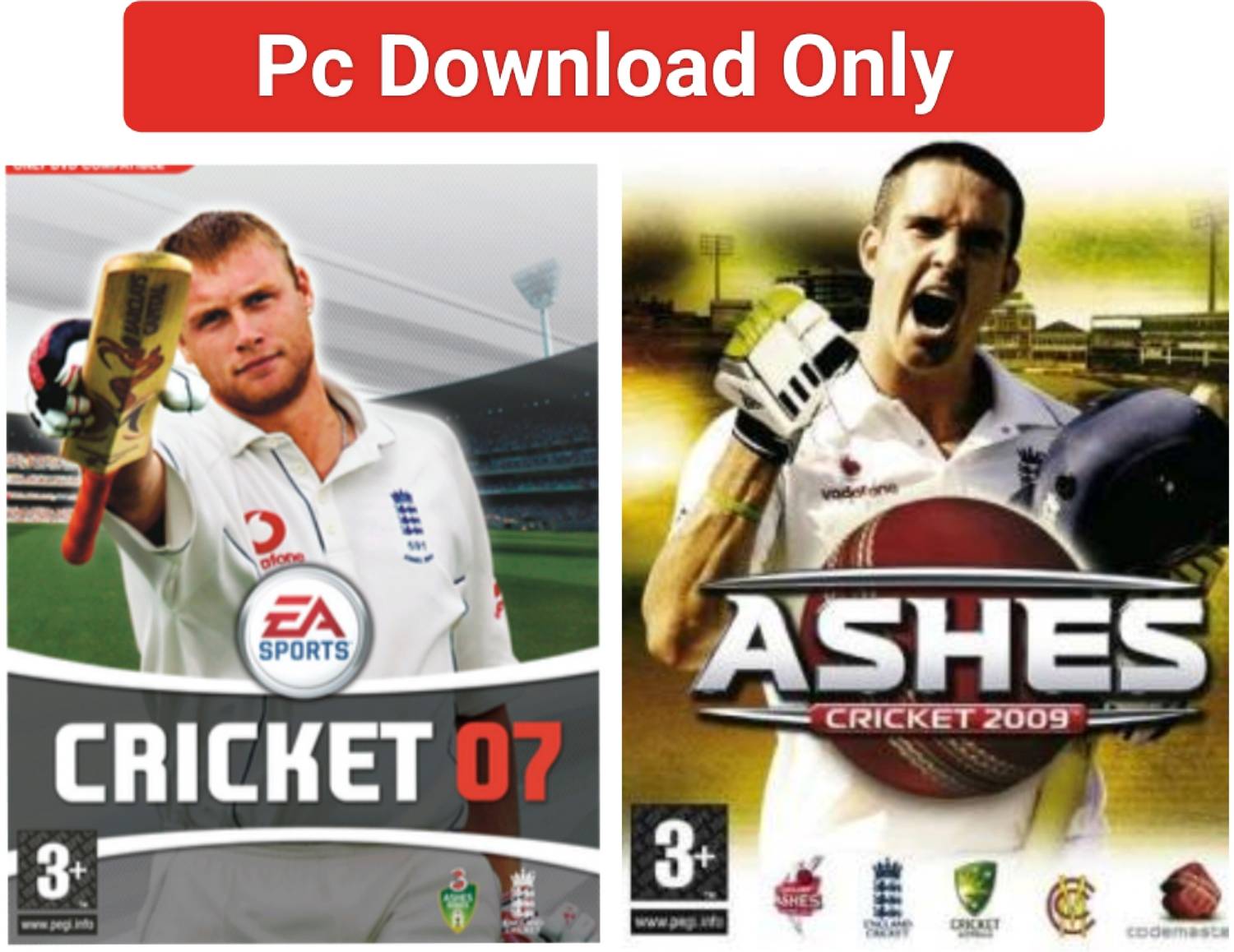 Ashes and  ポスター 2007年 Cricket 2007 Ashes 2009 Pc Game (Offline Only) Full Games No CD
