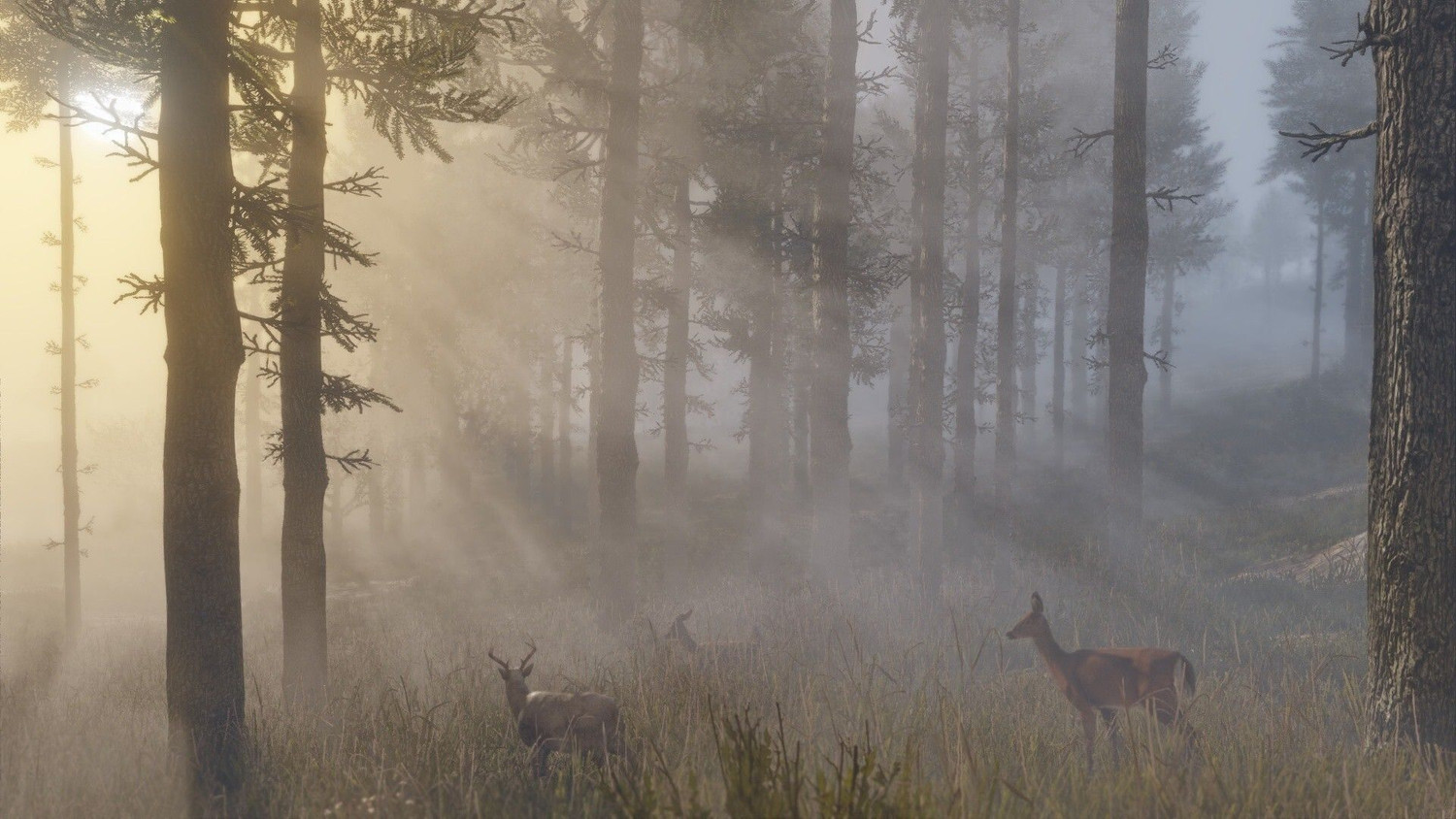 Image of Red Dead Redemption 2