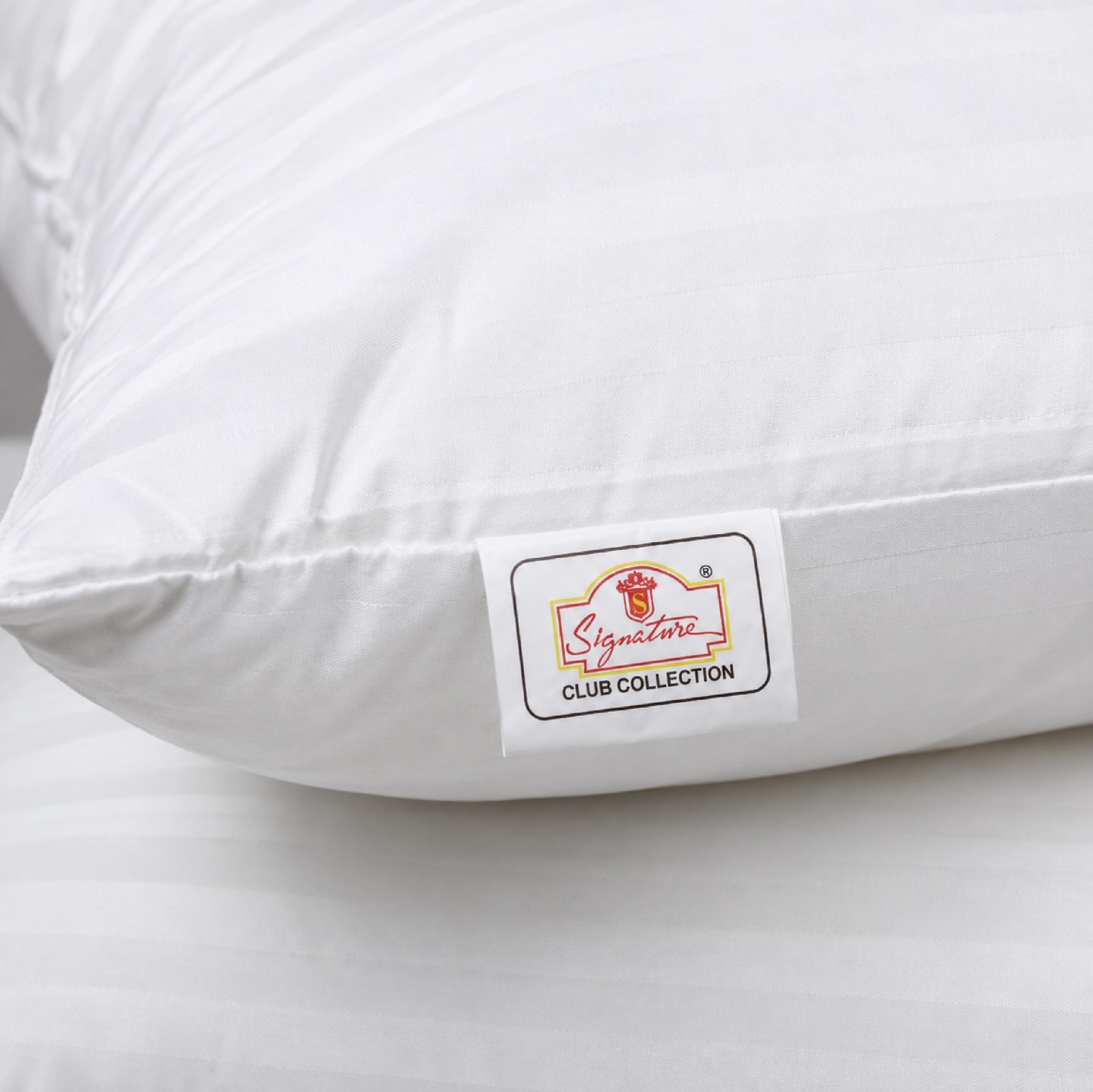 Image of Signature Microfibre Sleeping Pillow Pack of 2 Solid (White)