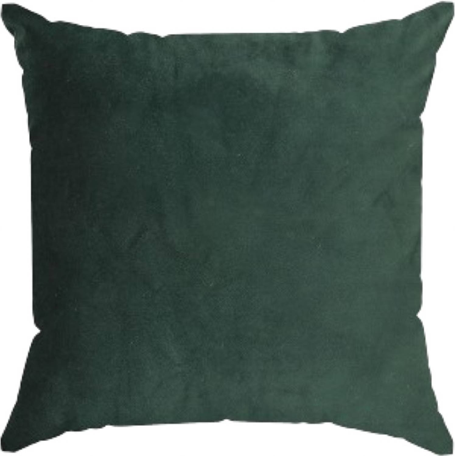 aeTHEric Microfibre Cushion Pack of 1 Solid