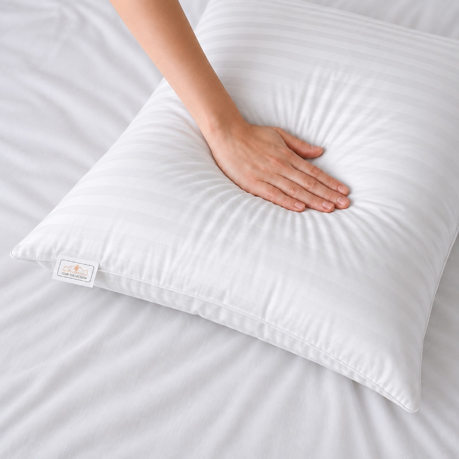Image of Signature Microfibre Sleeping Pillow Pack of 2 Solid (White)