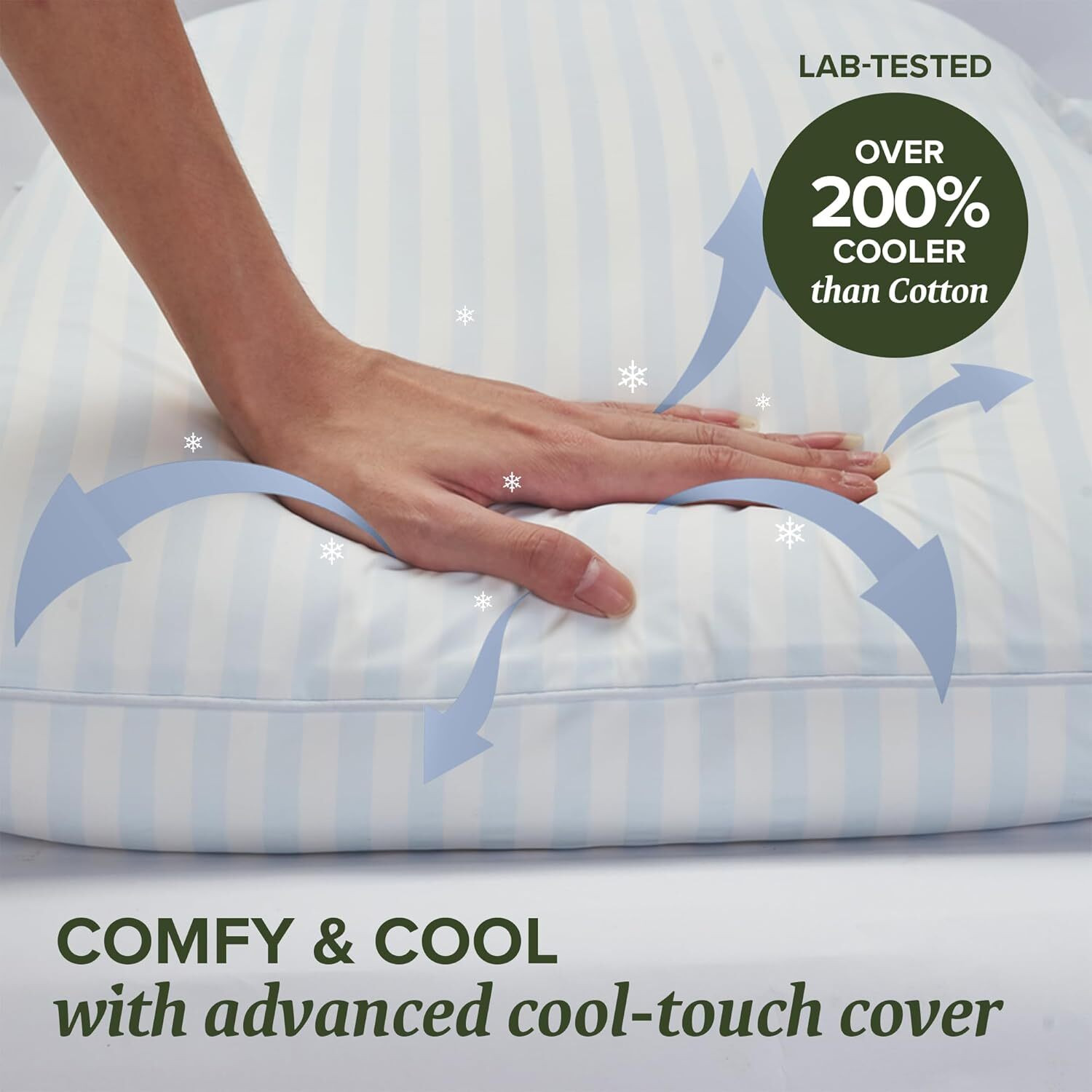 Image of EVAGROW PLUS Memory Foam Orthopaedic Pillow Pack of 2 Stripes
