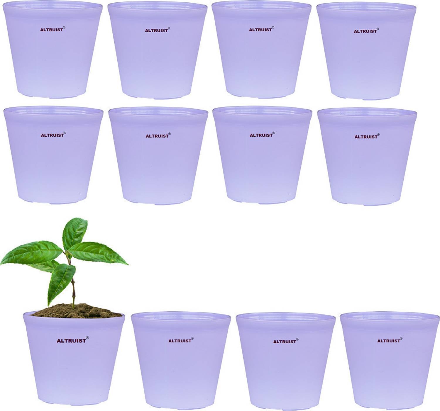 Altruist Nursery Pot 4-inch Plastic Purple Color (Pack of 12) Plant Container Set
