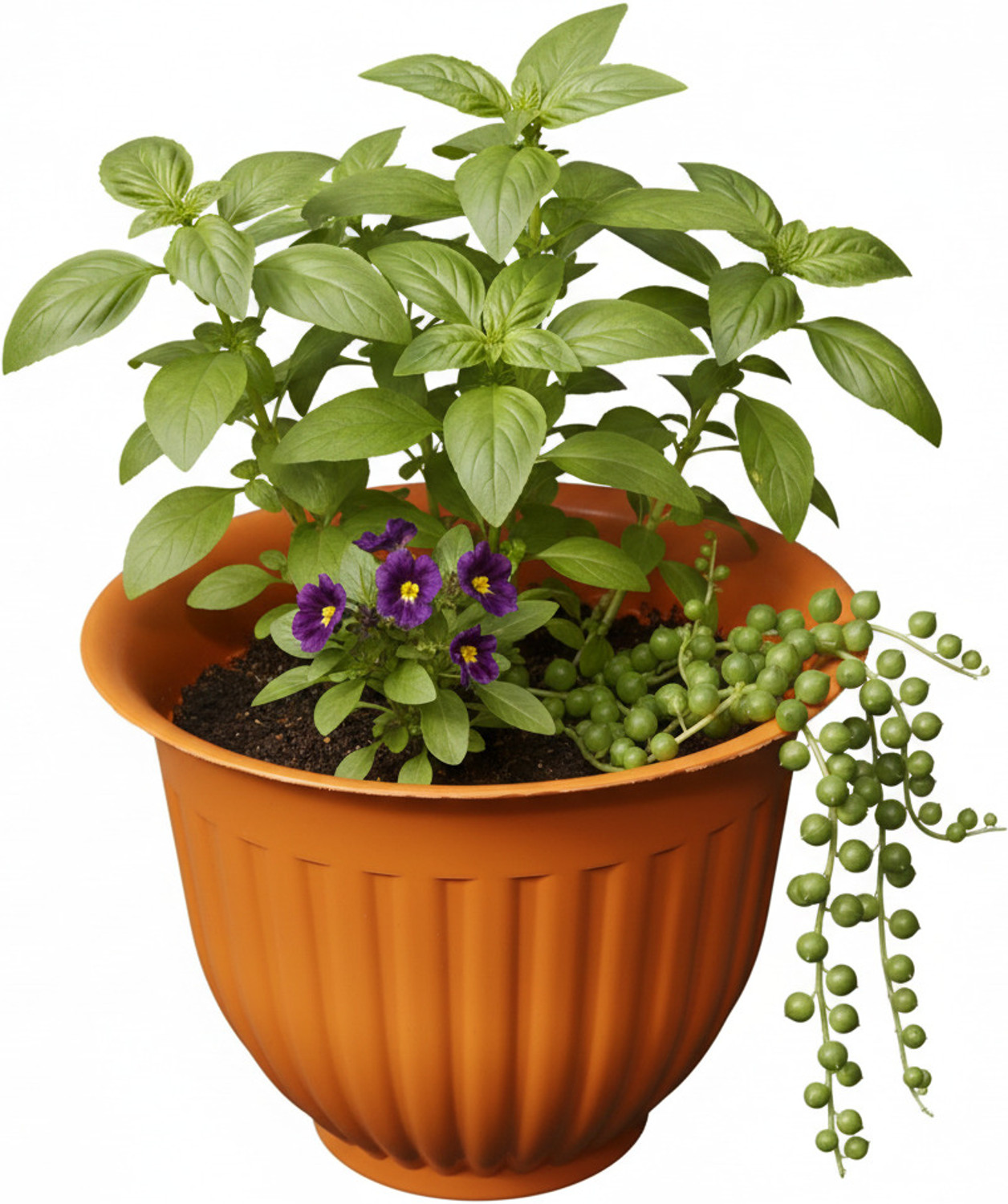 Image of Picvel Stylish Gardening Planter Indoor Outdoor Home Office Planter Flower Pots Plant Container Set
