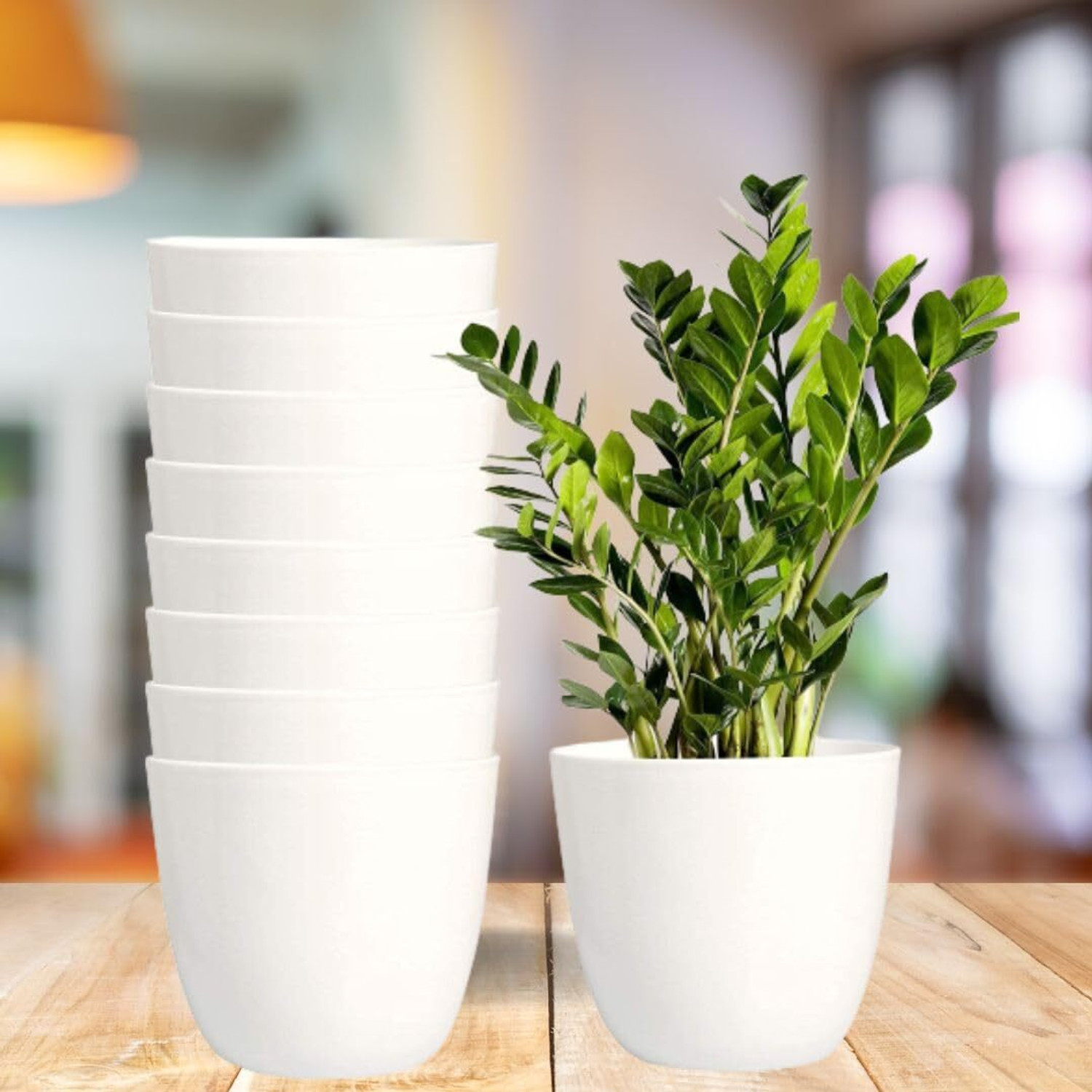 Image of Decorexperts 5 inch round white cool flower plant pots /pots for plants /plastic plant containe Plant Container Set