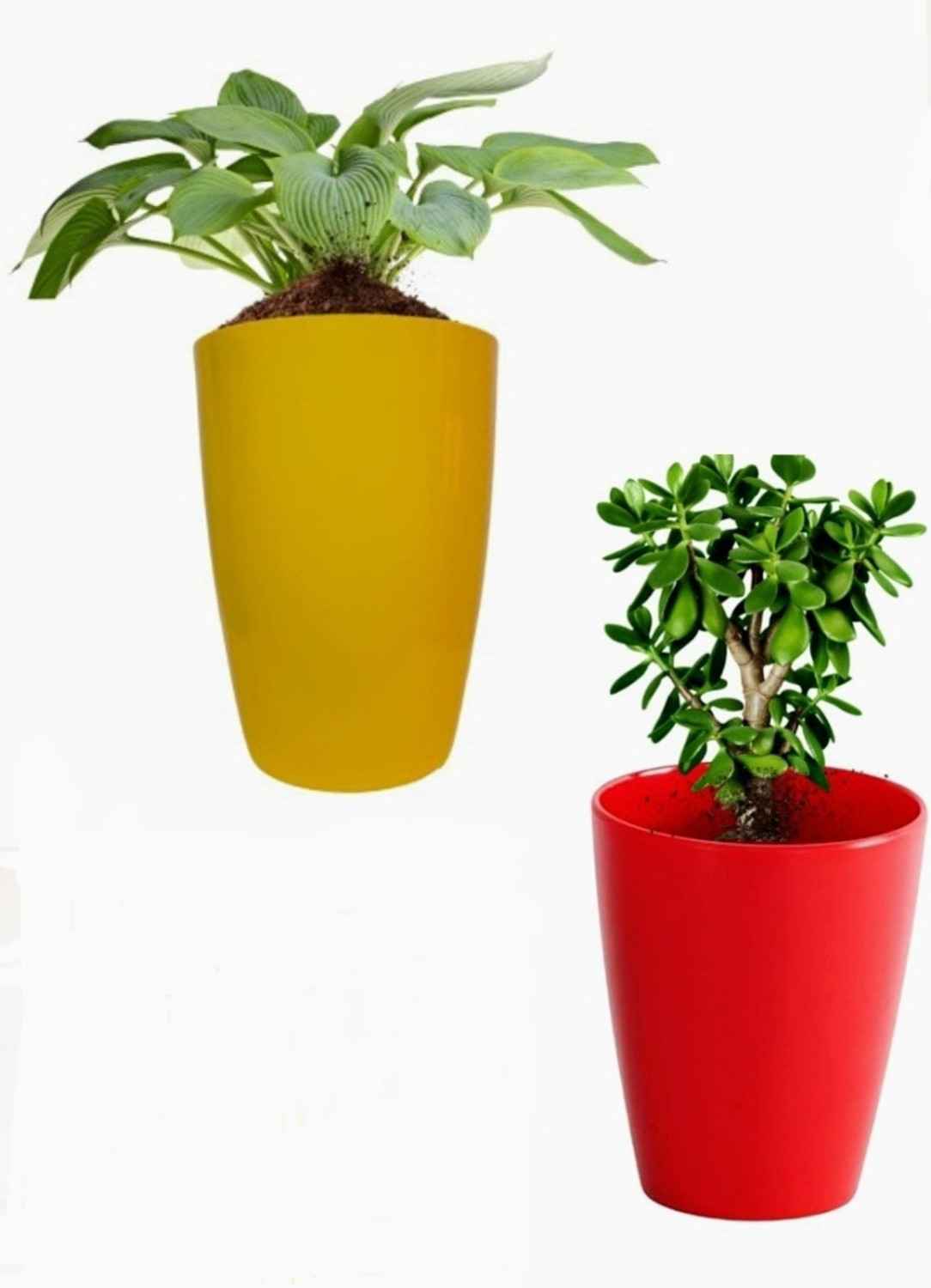 Image of SAROJTRADERS Plant Container Set