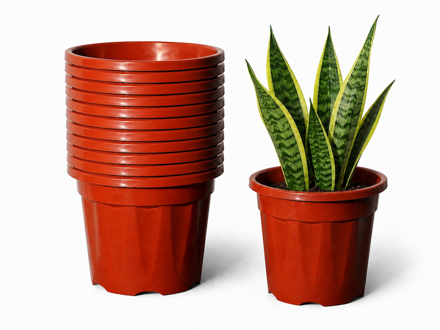 Image of Bioworth Growing pot | 12 inch | Terracota colour | Indoor and Outdoor use Plant Container Set