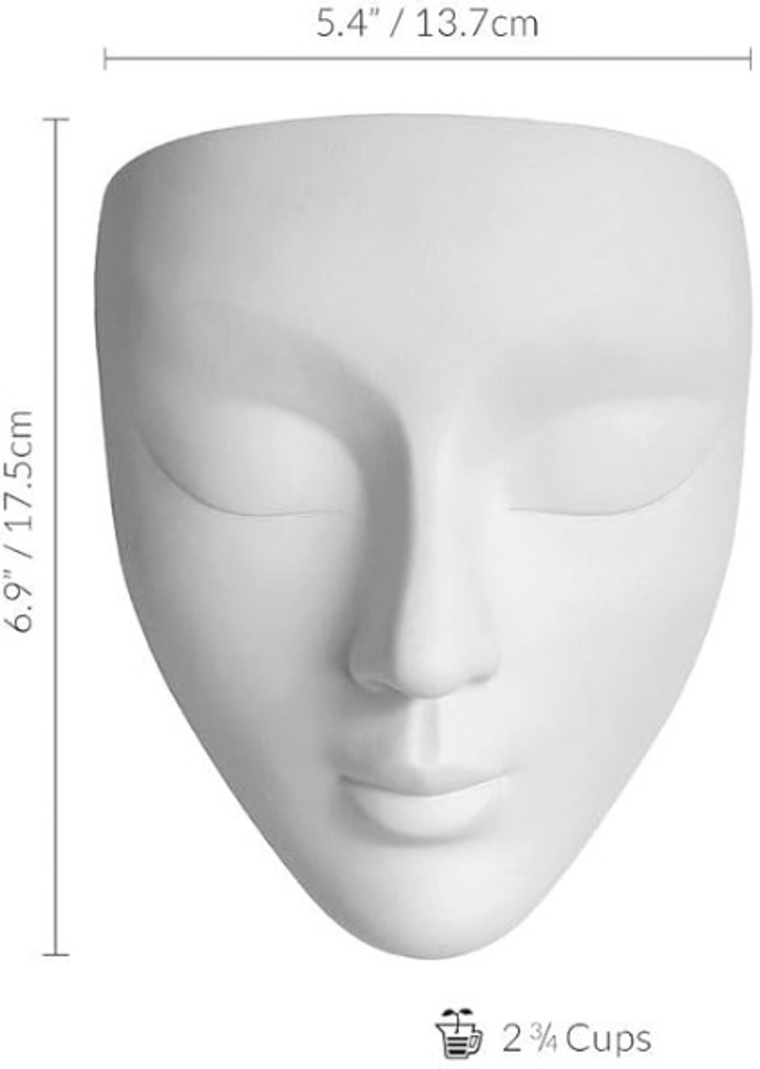 Image of D2N Face Planter | Unbreakable | Modern Planter For Home / office / Home Plastic Vase