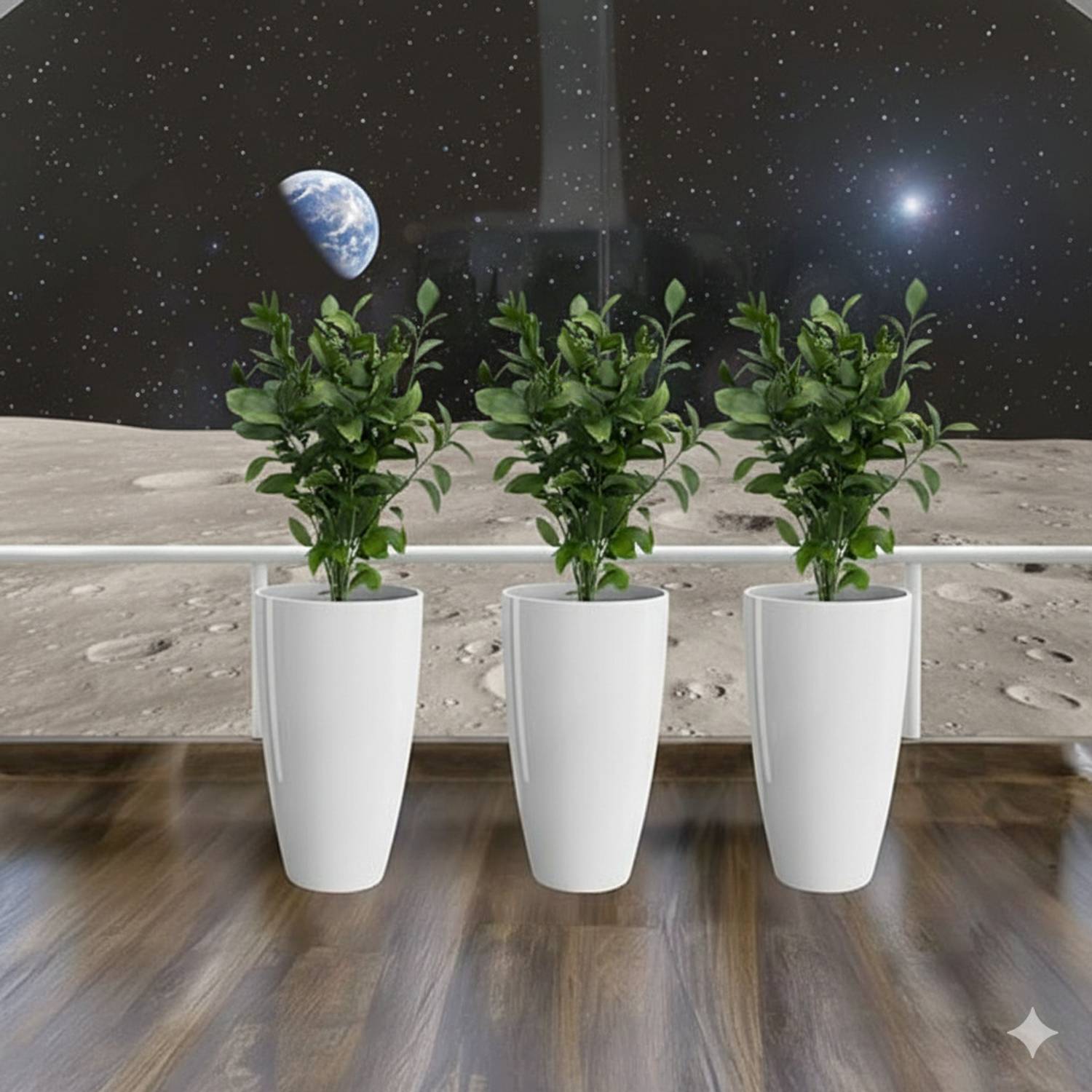 BGE Plant Container Set