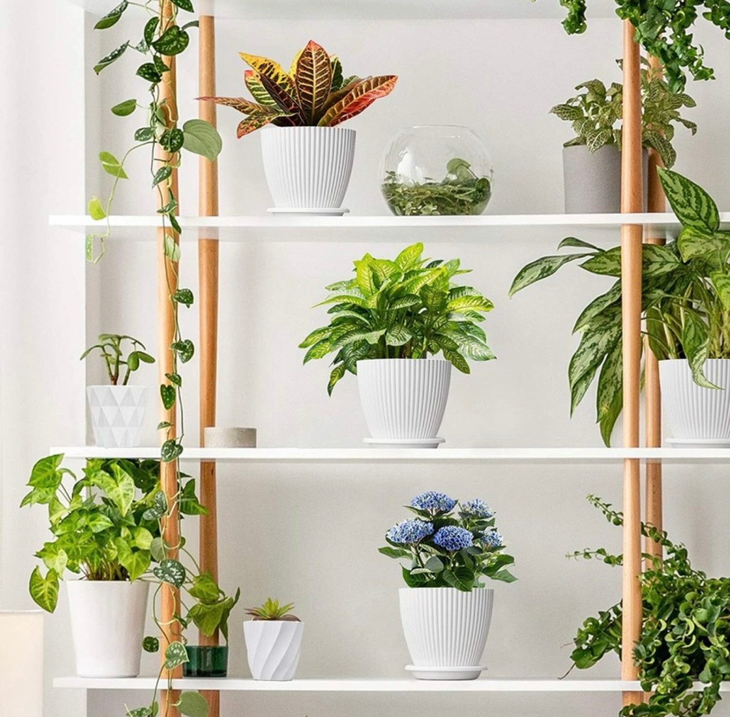 Image of Nursery Hub Premium White flower Planters gamla Pots plant pots Plant Container Set