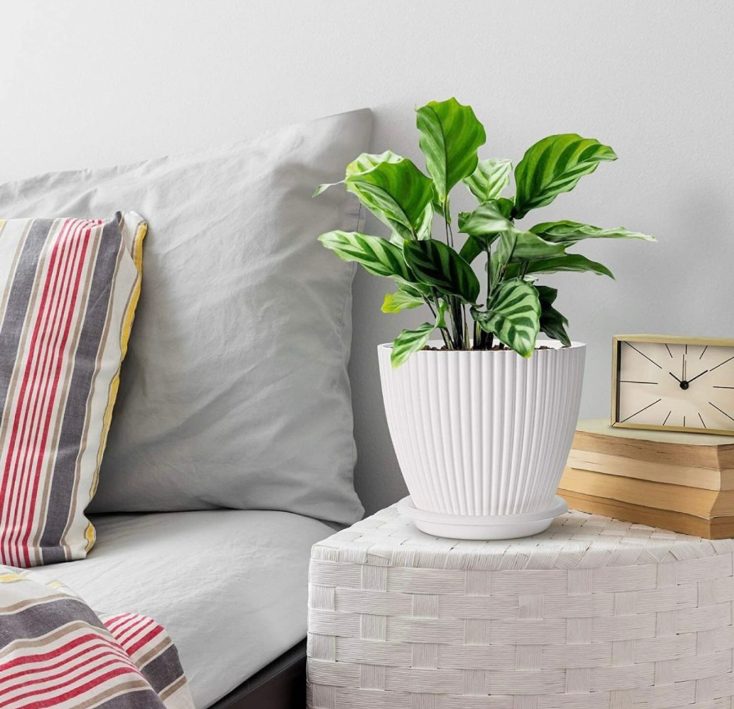 Image of Nursery Hub Premium White flower Planters gamla Pots plant pots Plant Container Set