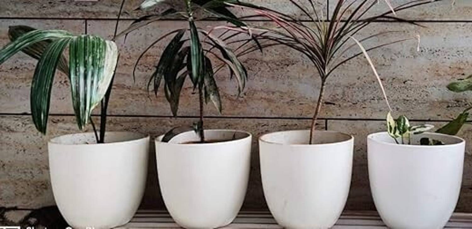 Bluevista White 5 inch Eco Friendly Plastic Pots For Indoor And Balcony Gardening Décor Plant Container Set