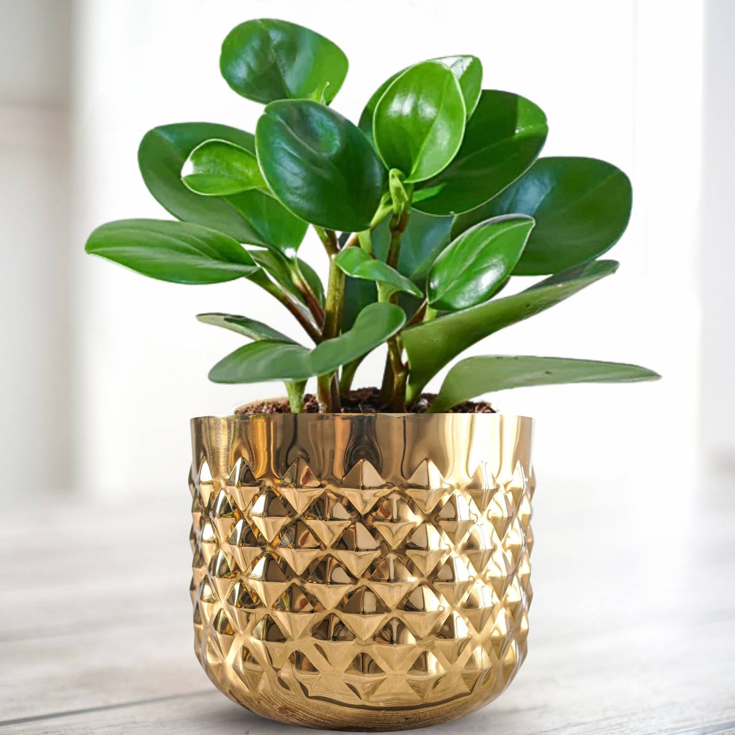BEHOMA Metal Pineapple Texture Planter Pot, Golden (Plant not Included) Plant Container Set