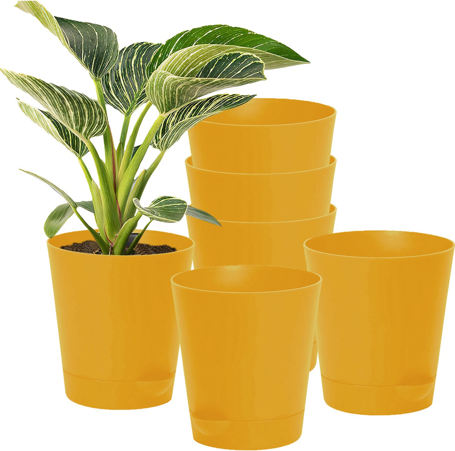Image of KUBER INDUSTRIES Plant Container Set