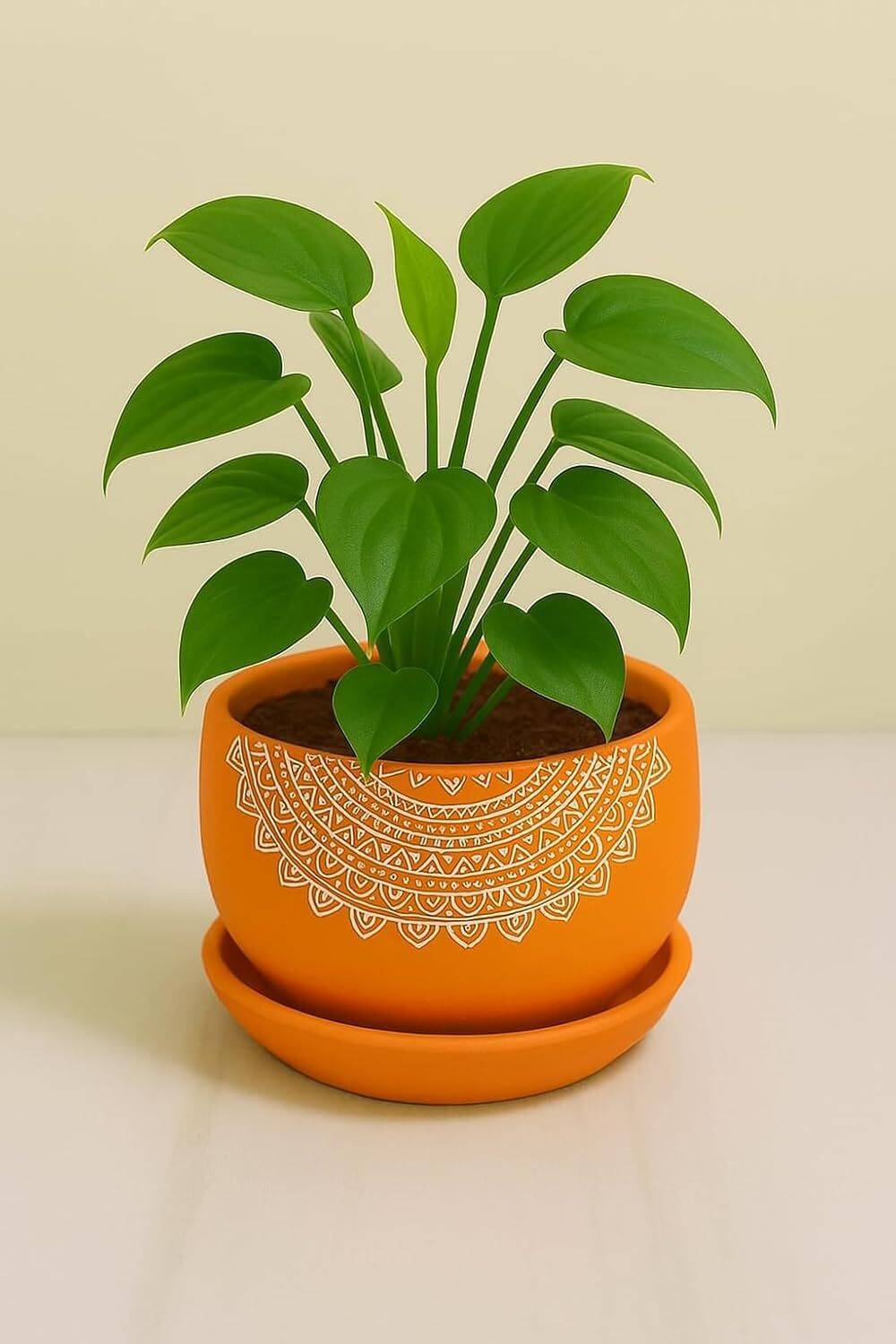 Aarya Plantique Terracotta Flower Pot Medium Size(5.5"x4") with Tray Hand-Painted Mandala Design Plant Container Set