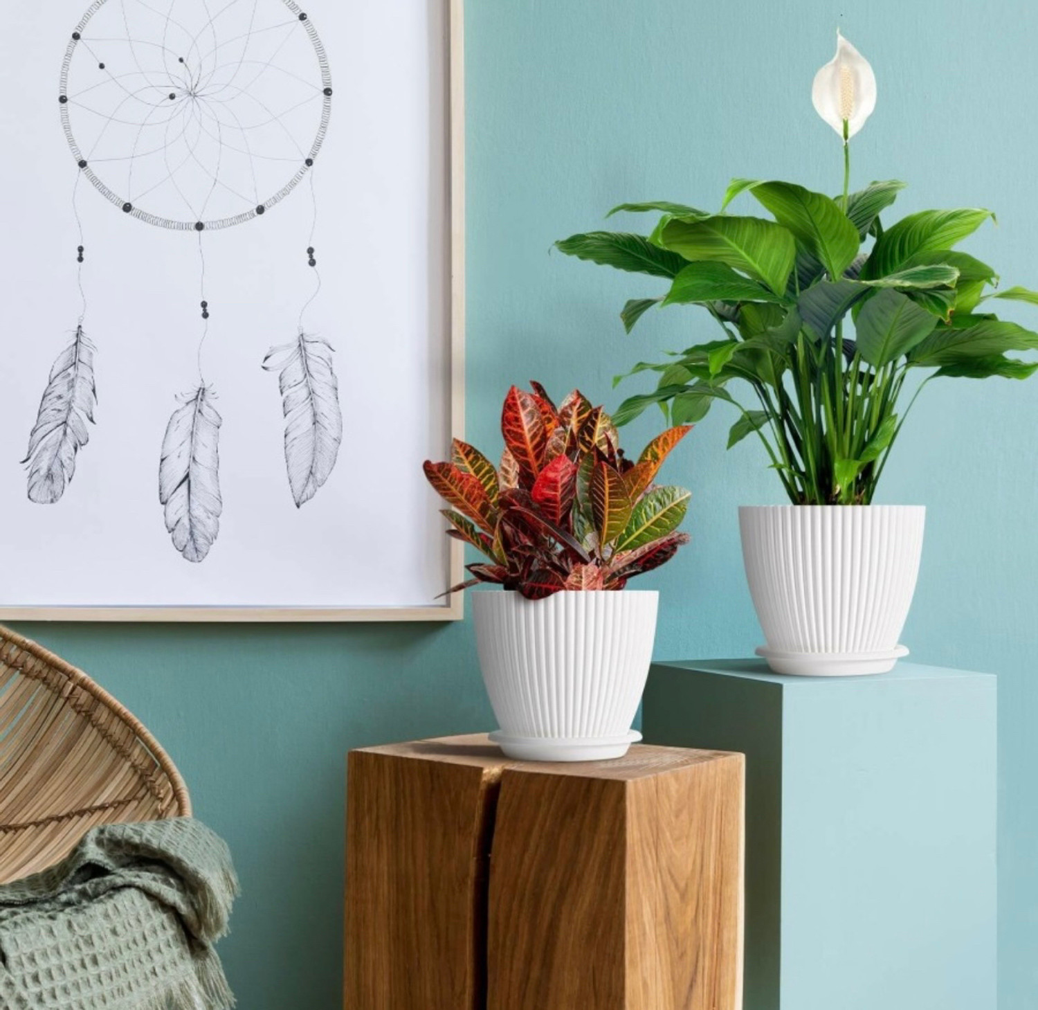 Image of Nursery Hub Premium White flower Planters gamla Pots plant pots Plant Container Set