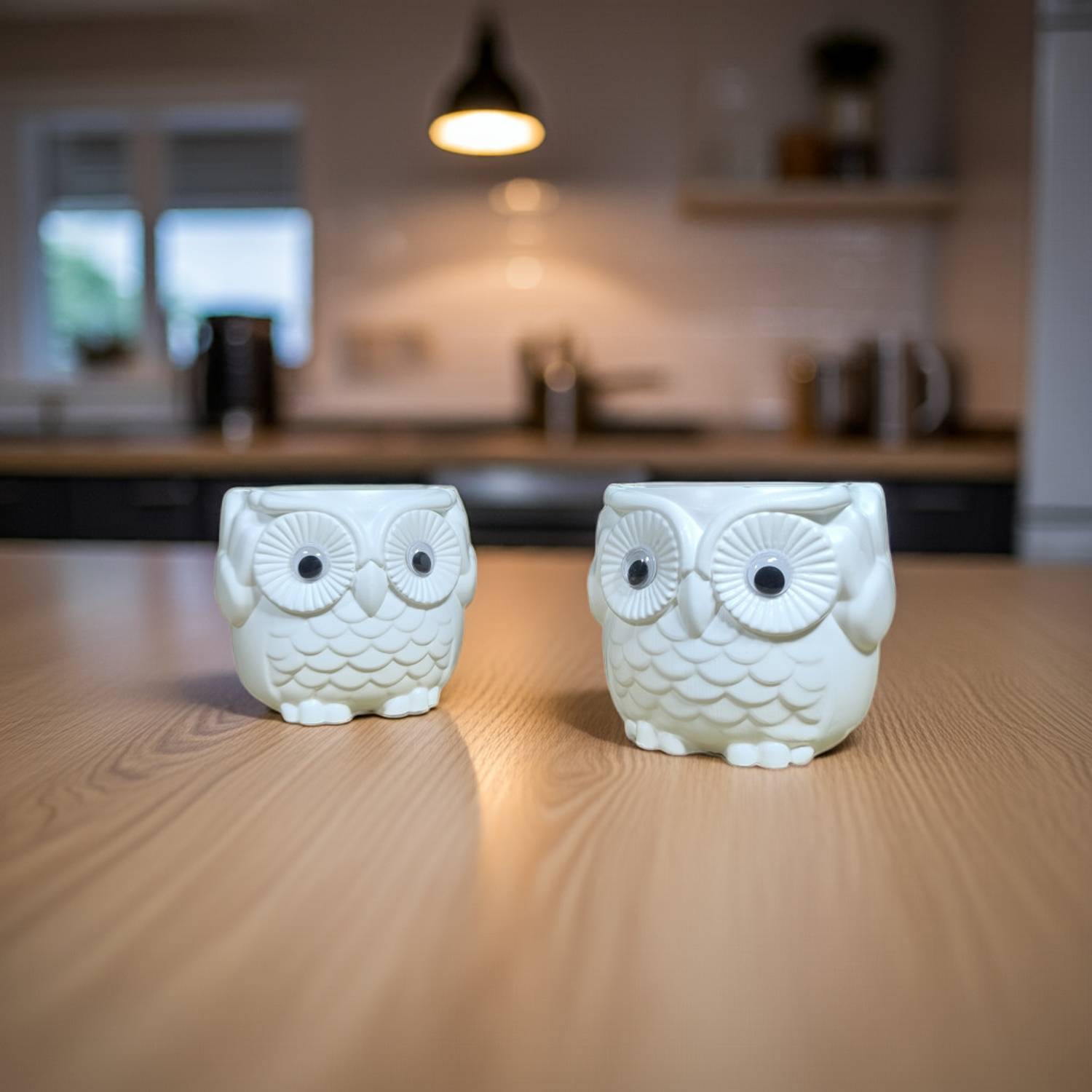 Botanico White Owl Planter | High Grade Plastic | Long Life Plant Container Set