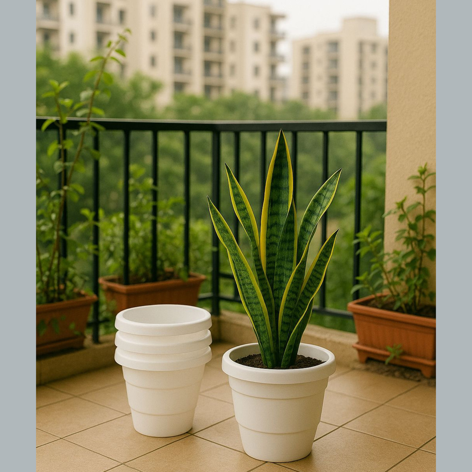 Image of Mrida and Maati 8 Inch Pots| Pack of 5 | Indoor and Outdoor Flower Pot for Home /Office Plant Container Set