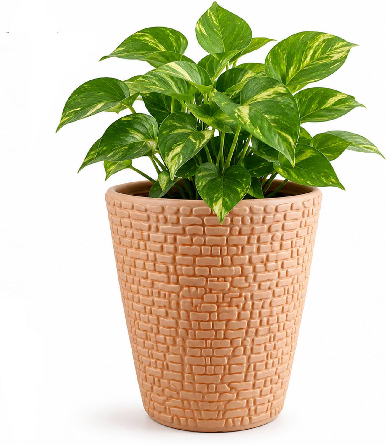 Blooming Enterprises Marble Pots for Home Decor Diameter (Beige 10inch pack of 1) Plant Container Set