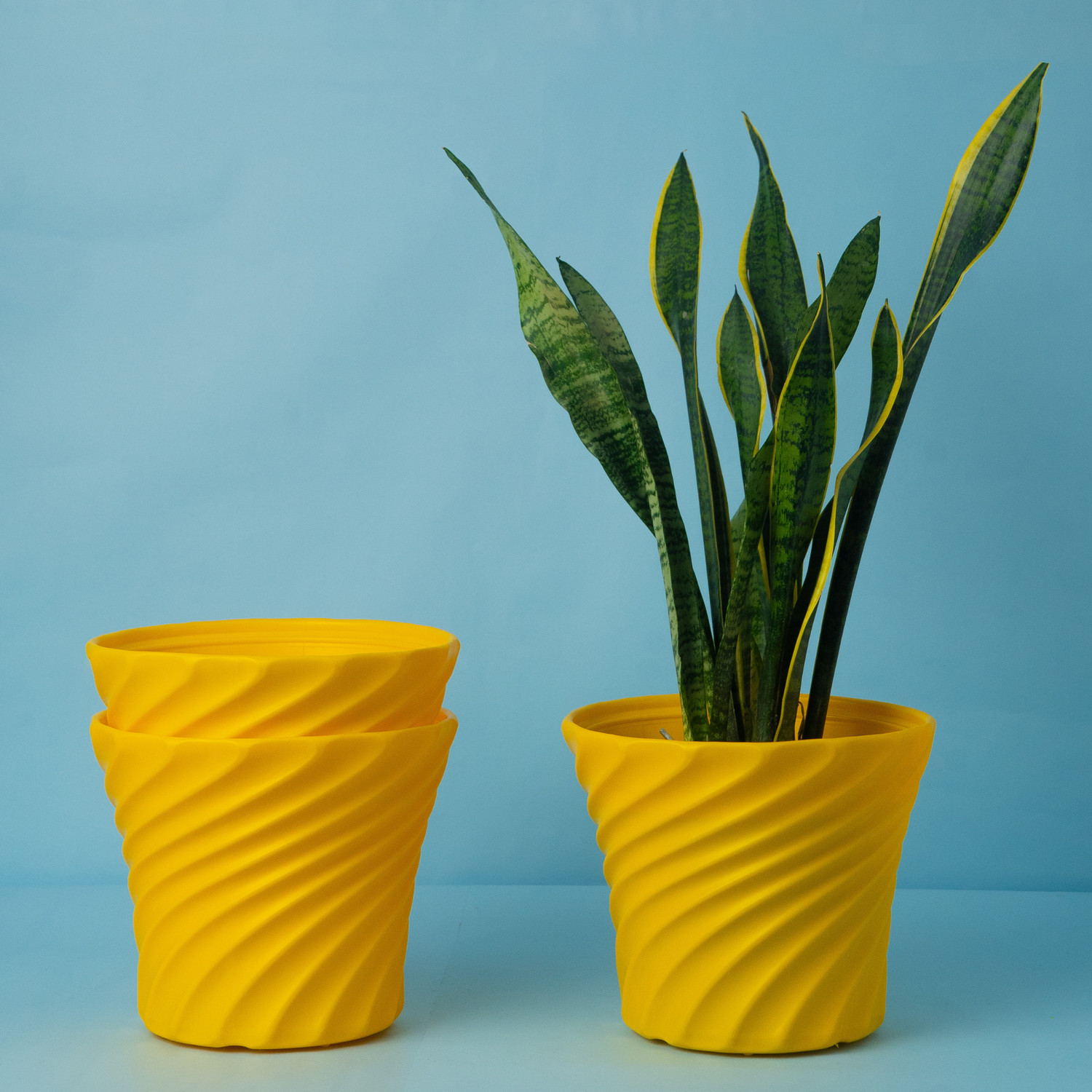 Image of Seedsavvy 8 Inch Pots | Pack of 3 | Indoor and Outdoor Flower Pot for Home /Office Plant Container Set
