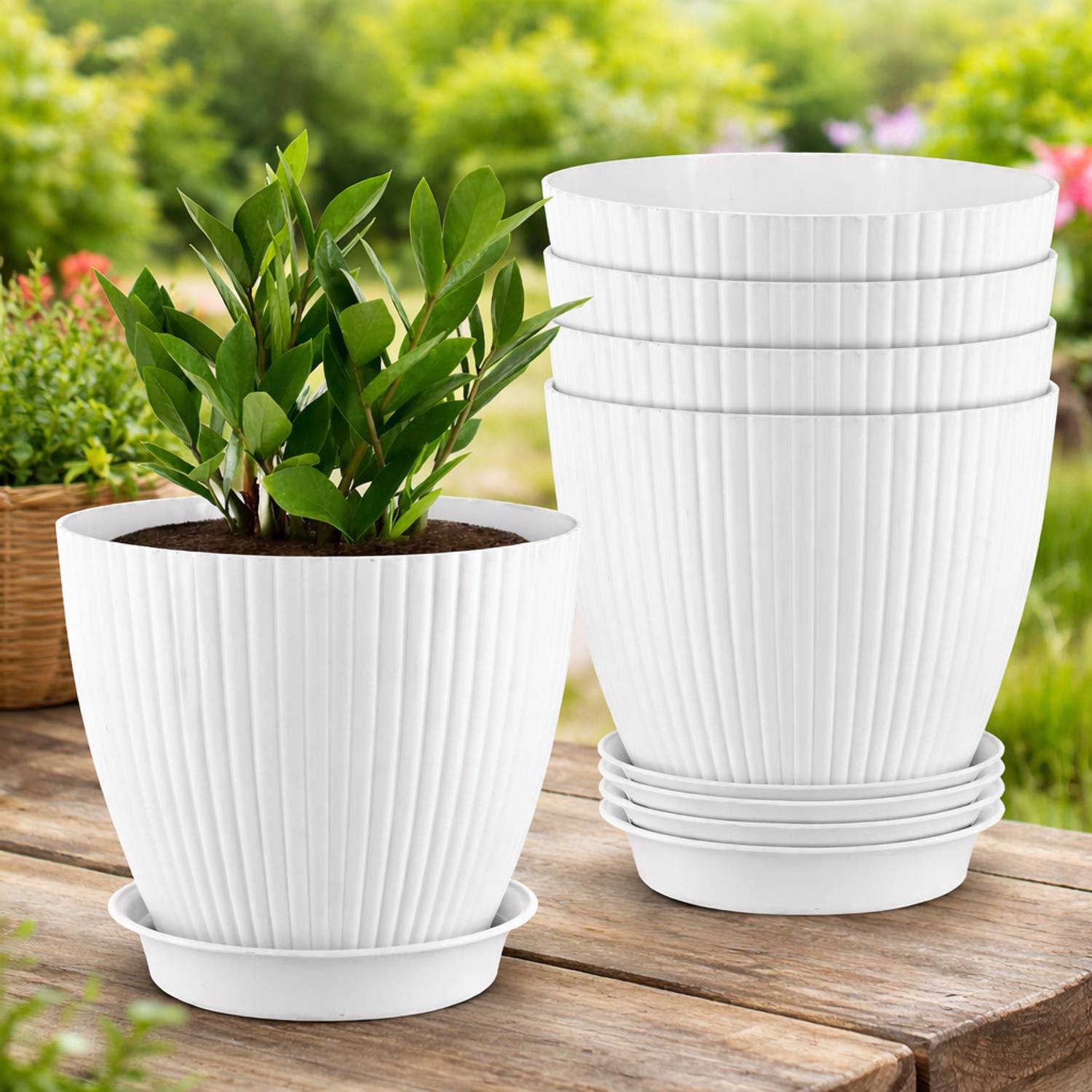 BELLERBIRD Premium Quality Ribbed Designe Flower Pot For Home Dec