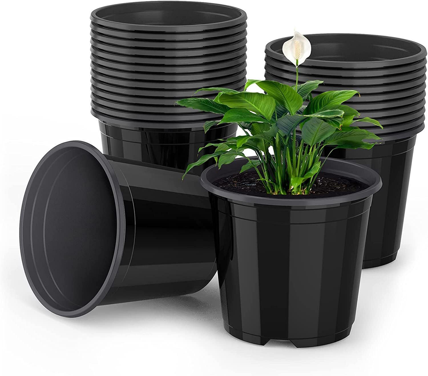 Image of Gardeningwala 6 inch black nursery pot Plant Container Set