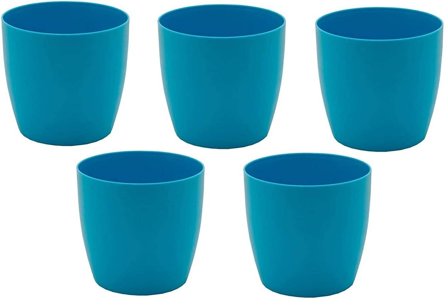 CACTUS VARIETIES Plant Container Set