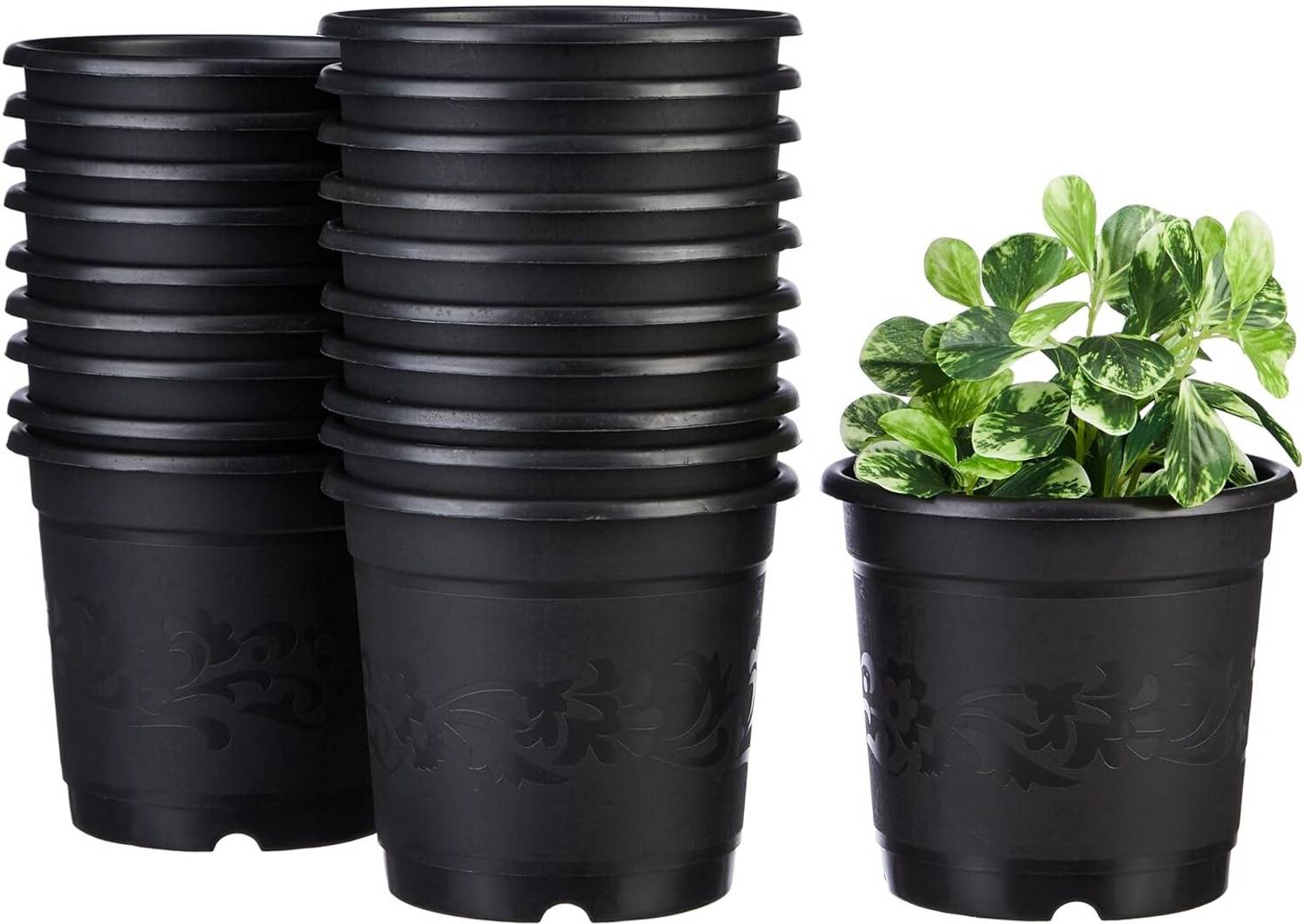 10club Nursery Seedlings (6 Inch, Black)- Plant Container Set
