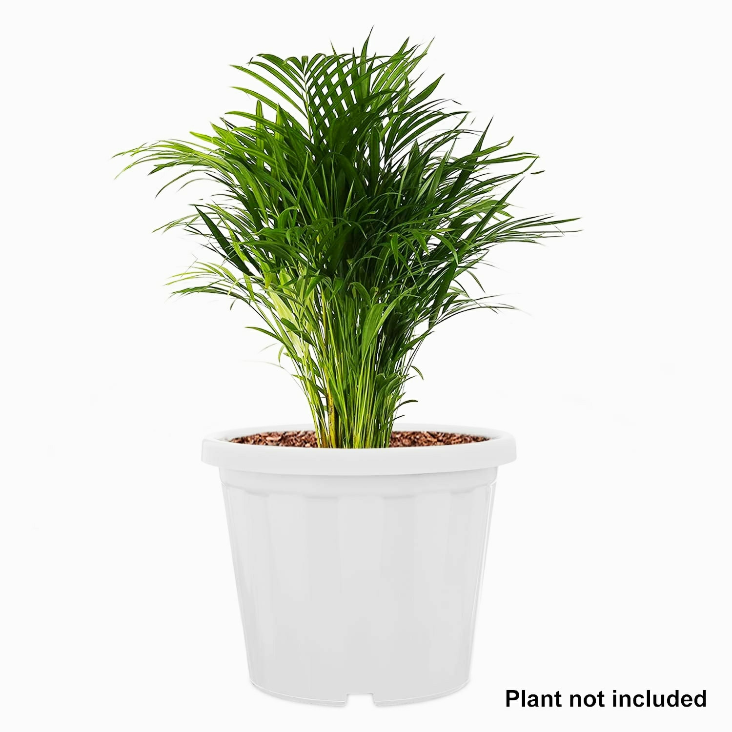 Image of SNSHOPEE 5 Pcs White 8 inch Dia. flower pots Planter for home office balcony gardening Plant Container Set