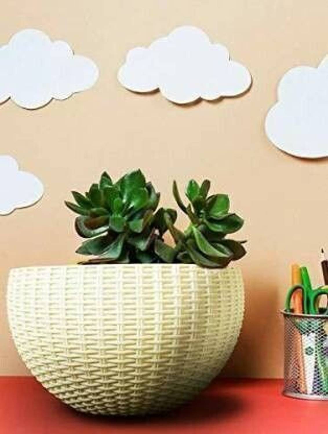 BonKaso Best Plant Container for Indoor and Outdoor need Plant Container Set