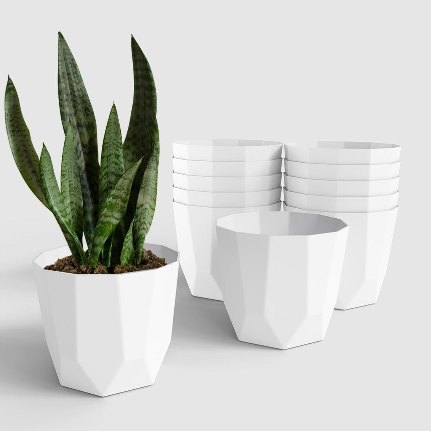 Image of Yuccabe Italia SHERA Hexa 8 Inch Flower Pot Set | Indoor & Outdoor Home Decor Plant Container Plant Container Set (Pack of 12, Plastic)
