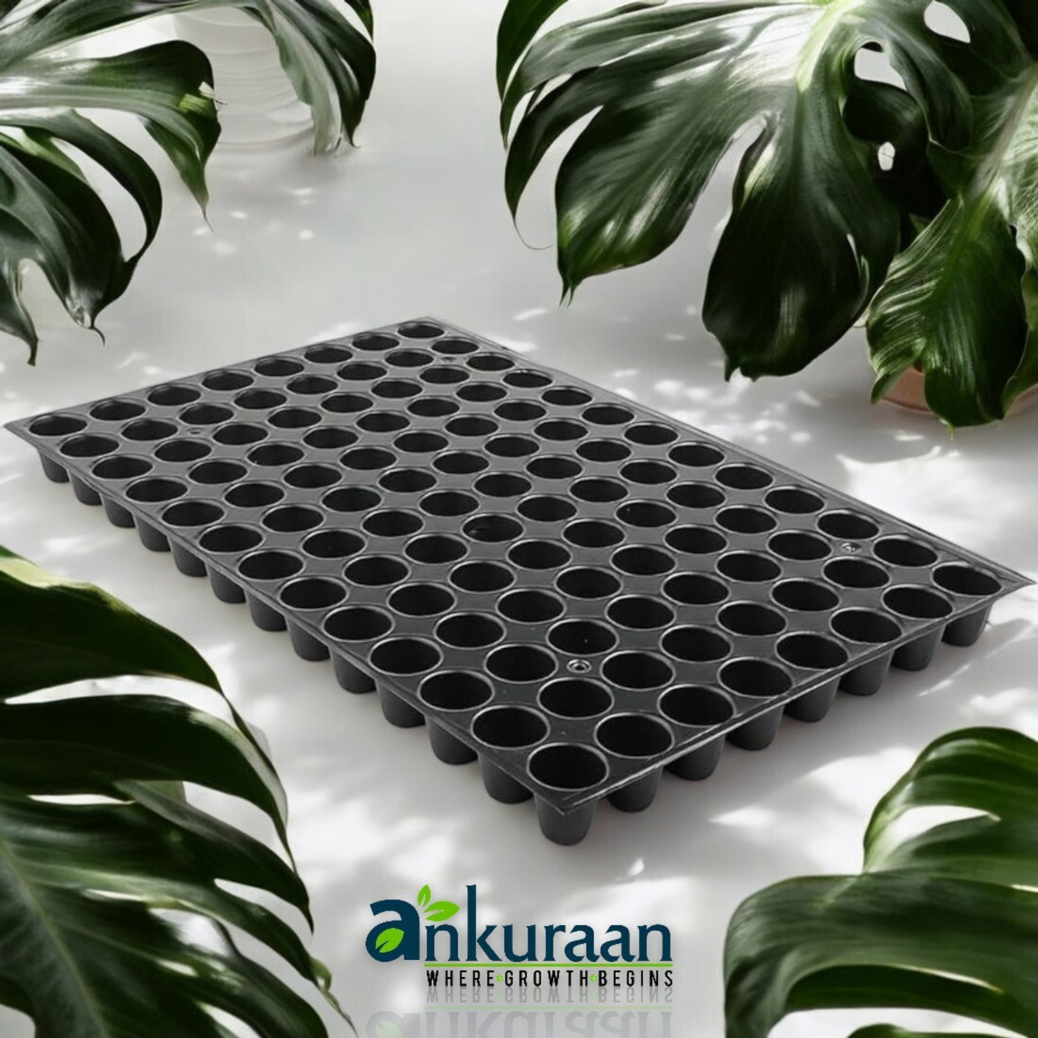 Image of Ankuraan Germination Trays for Seedling, Nursery Trays for Plants, 104 holes Set of 3 Plant Container Set