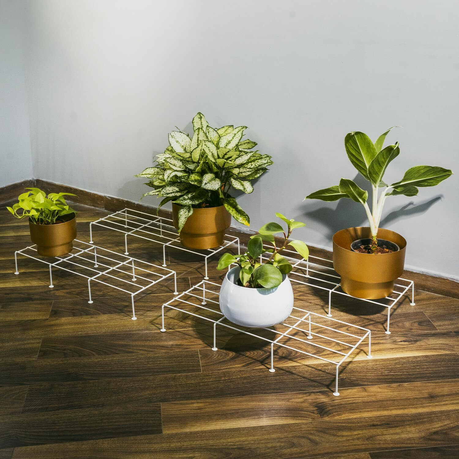 Image of Manlu Iron Indoor /Outdoor Flower Pot /Plant Stand for Home Garden Balcony Living Room Plant Container Set