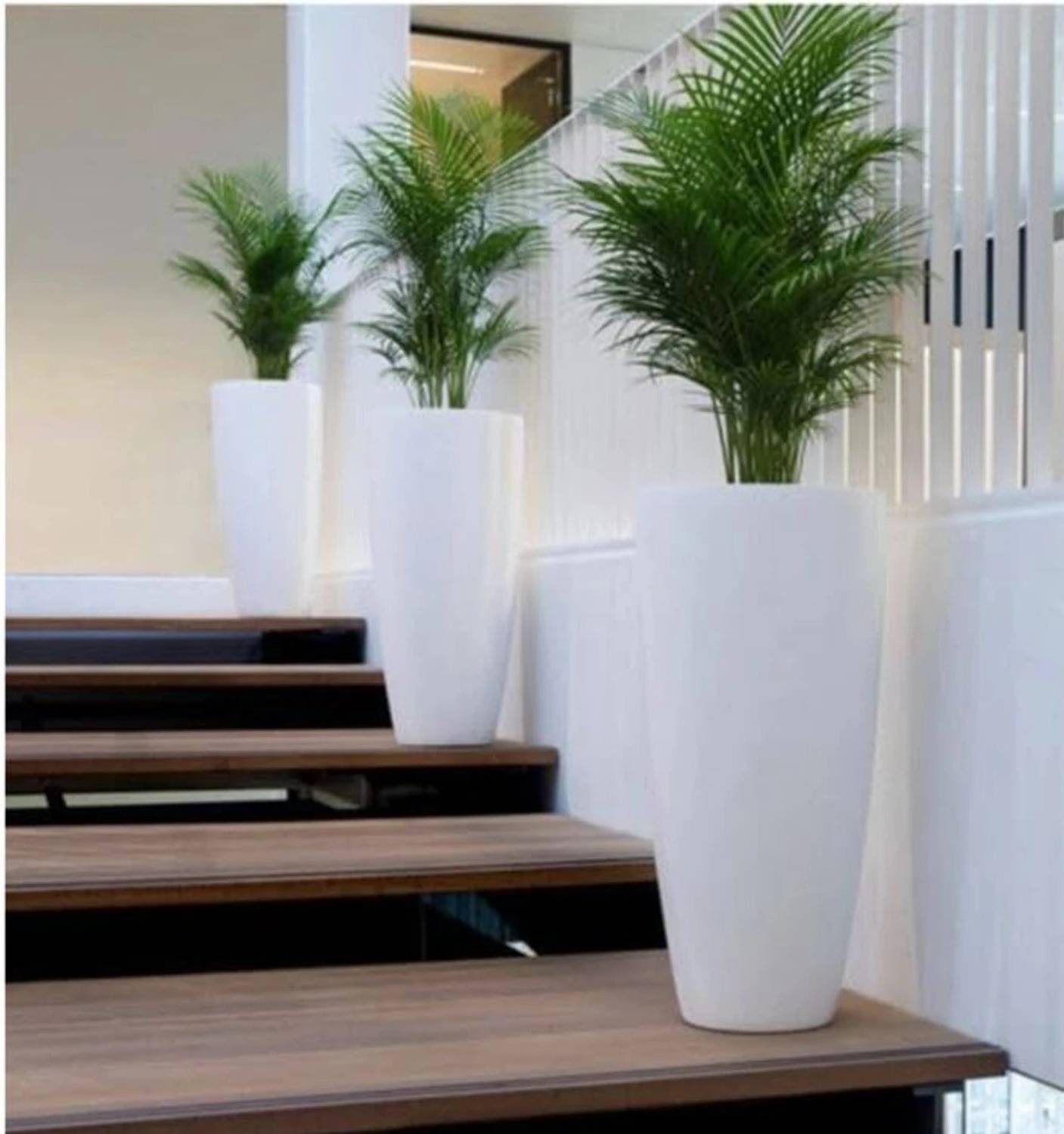 SAROJTRADERS Plant Container Set Pack of 3