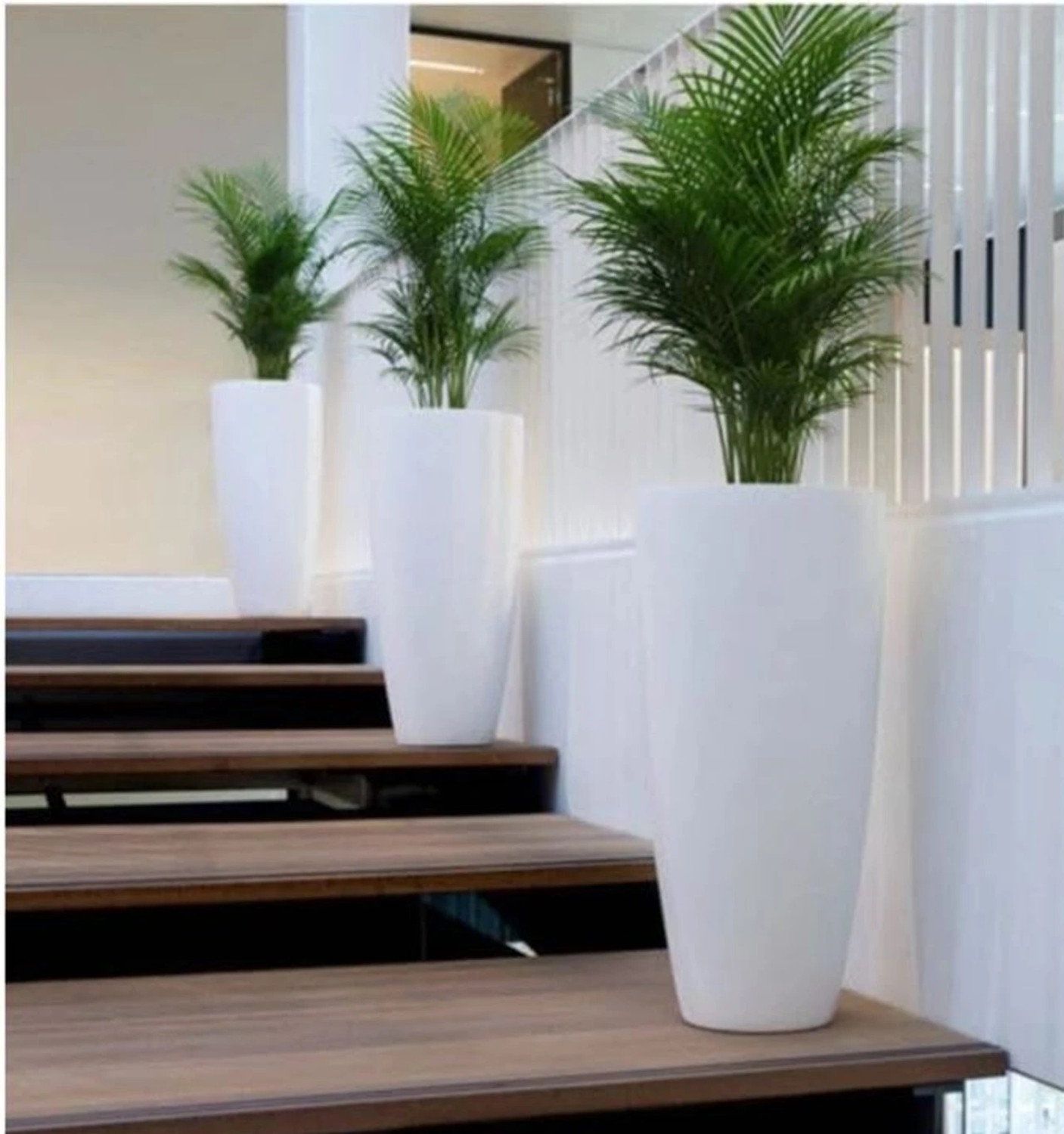 Image of SAROJTRADERS Plant Container Set