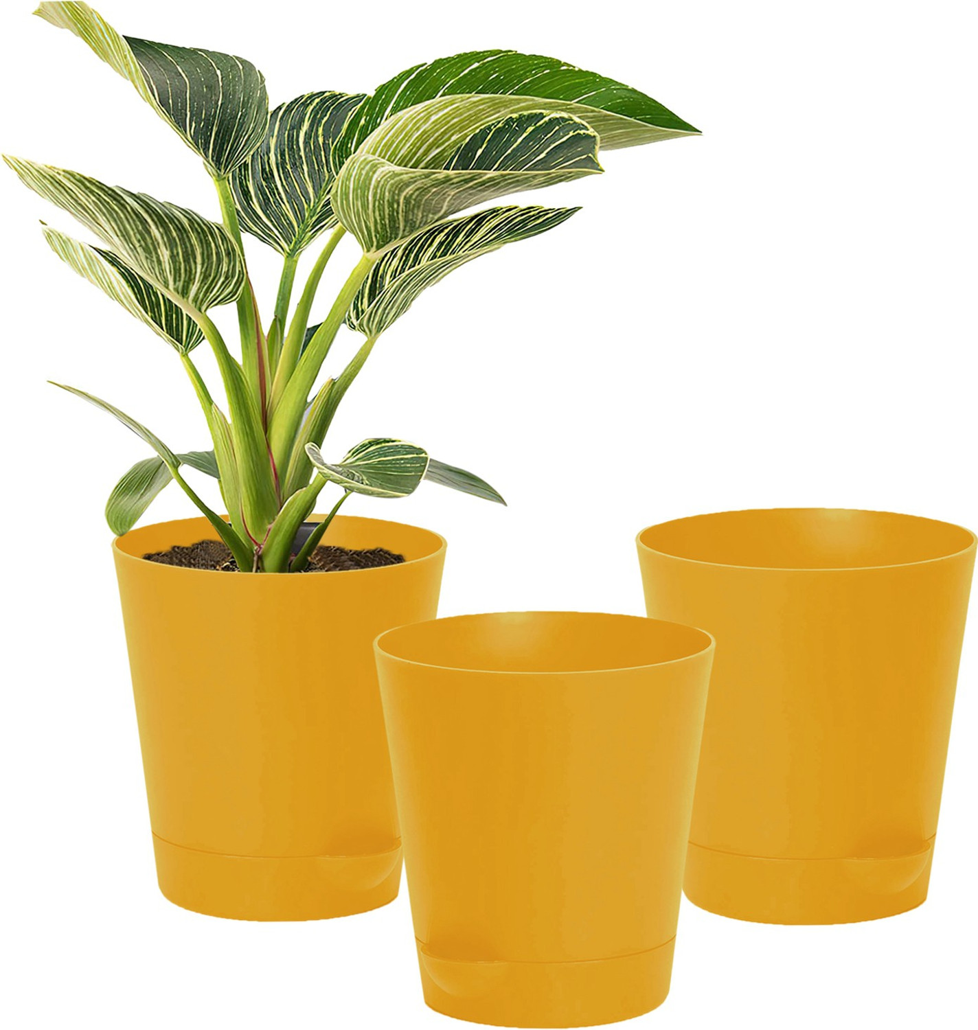 Image of KUBER INDUSTRIES Plastic Titan Pot|Self-Watering Pot With Drainage Holes,6 Inch,Pack of 3(Yellow) Plant Container Set