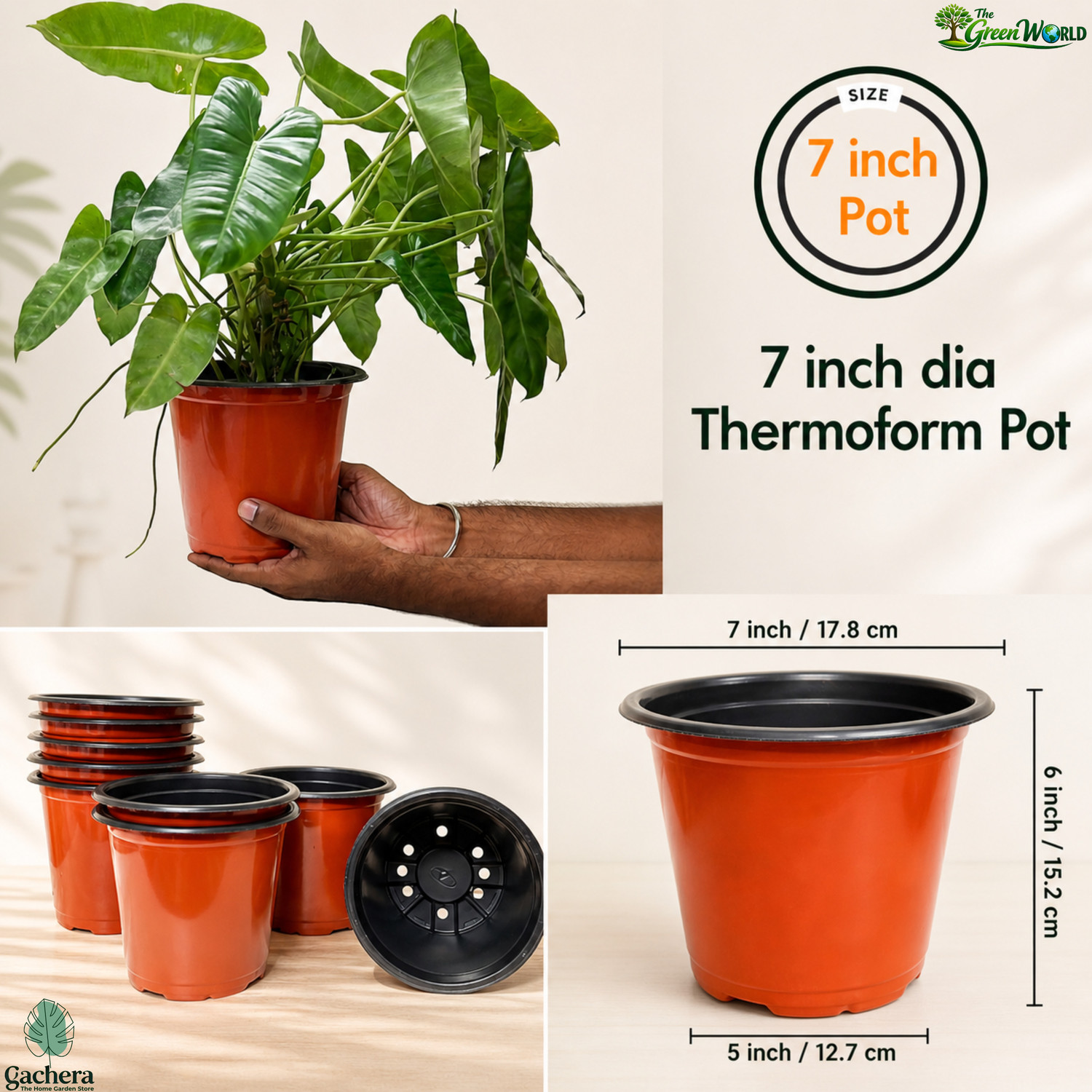 Image of Gachera 7 inch Thermoform Plastic Pot for Plants (Dia: 7 in x H: 6 in) | Plant Container Set