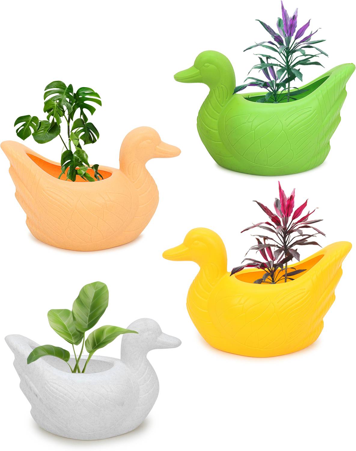 AMFENI Duck 4 Plant Container Set