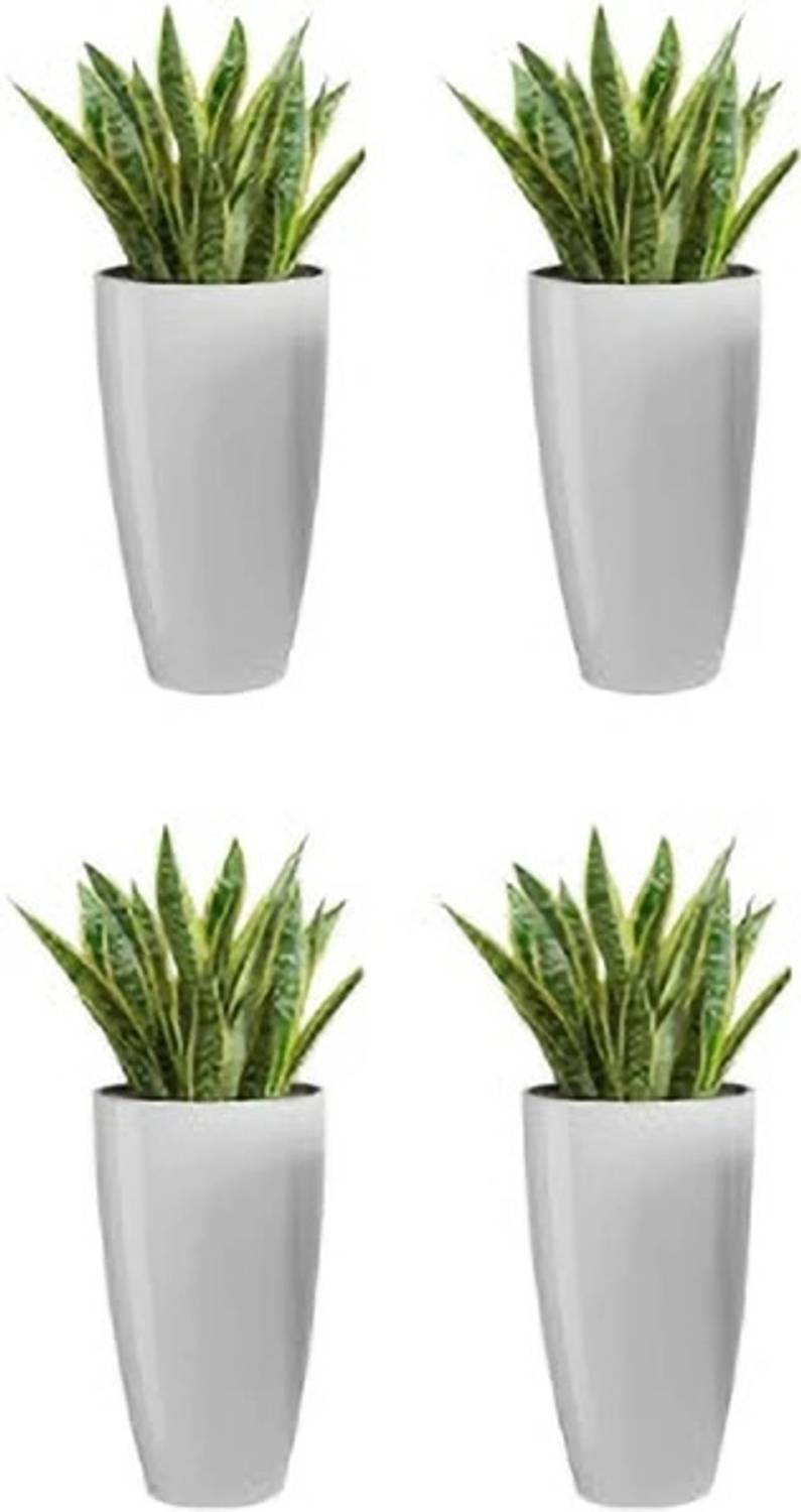 Atharvaplants BLESSEDVIBES Plastic Tower Pot 8 Inch Flower Pot for Home office Garden Balcony Plant Container Set