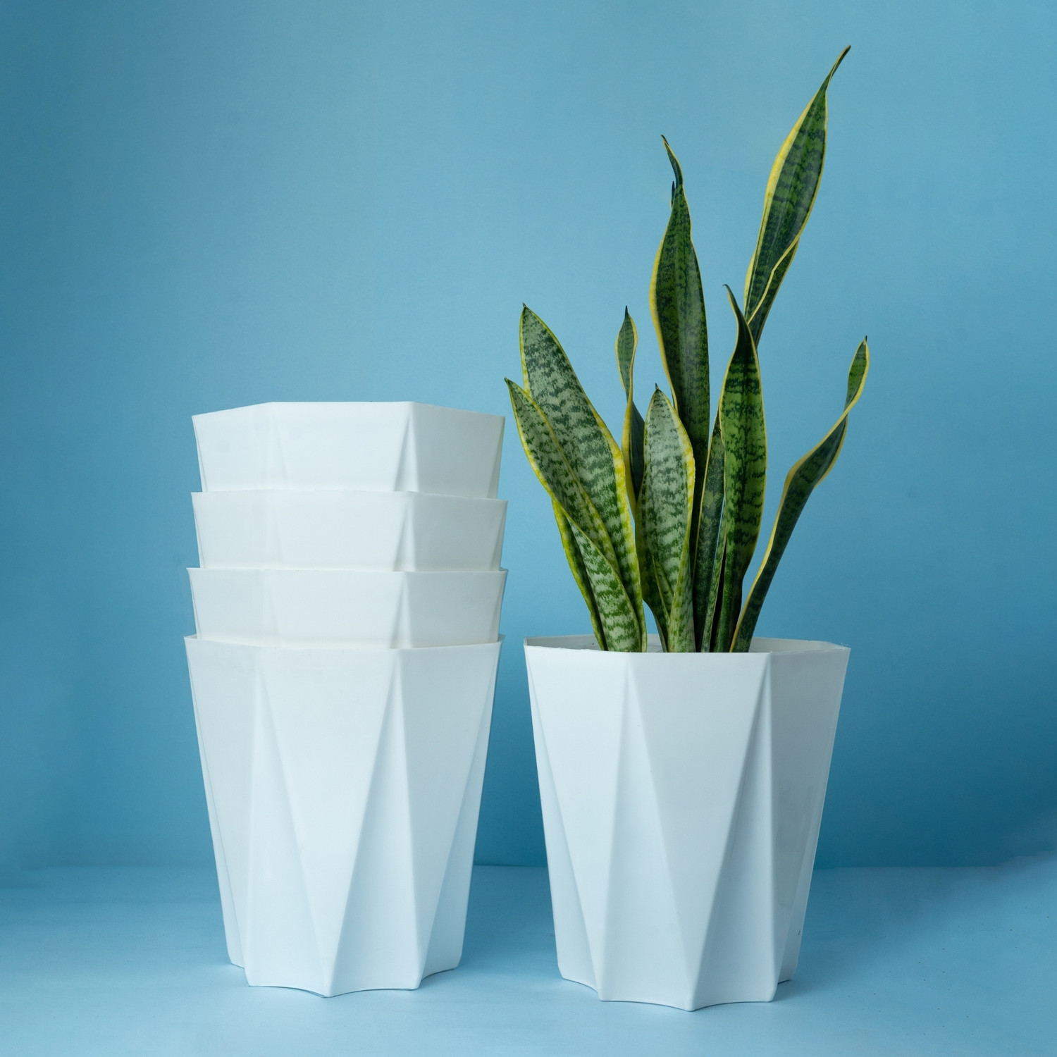 Image of Mrida and Maati 10 Inch pot (WHITE,5 Pcs) Flower Pot for Home, Indoor & Outdoor Gamla, Gardening Plant Container Set